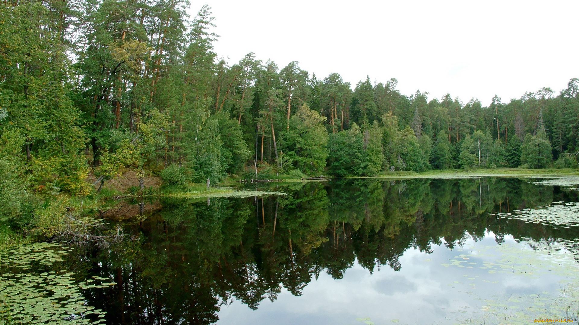 нижегородский, край, природа, реки, озера, лес, озеро