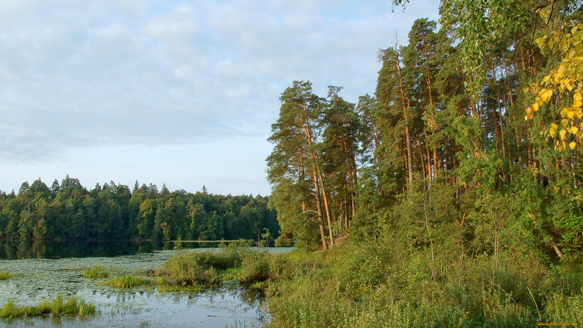 нижегородский, край, природа, реки, озера, озеро, сосны