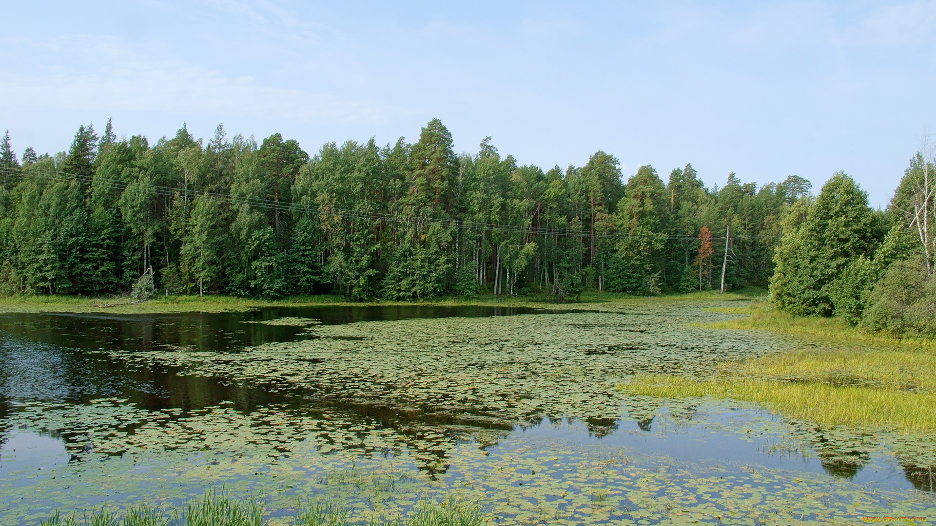 нижегородский, край, природа, реки, озера, озеро, лес, небо
