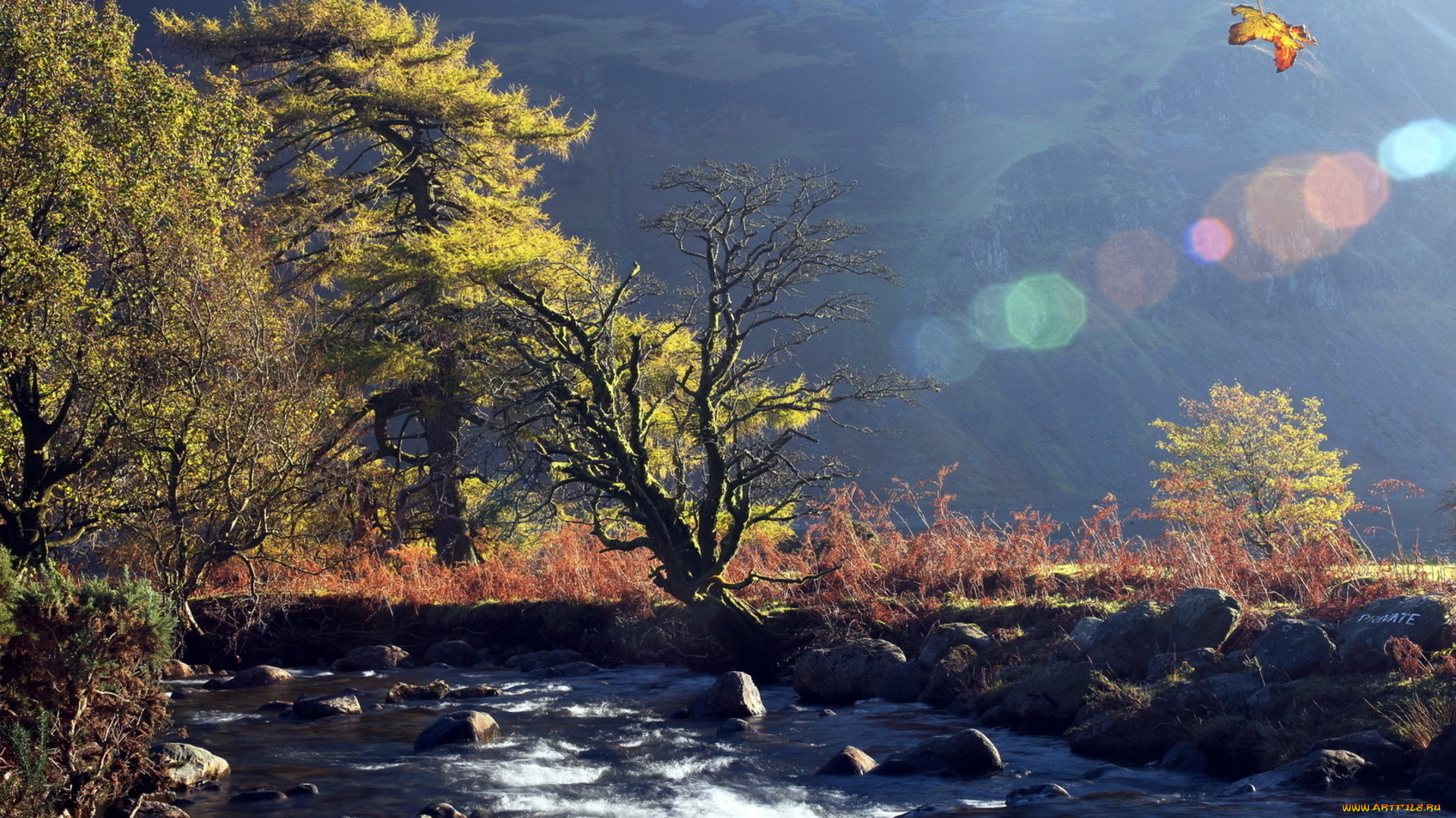 природа, реки, озера, горы, река, камни, деревья