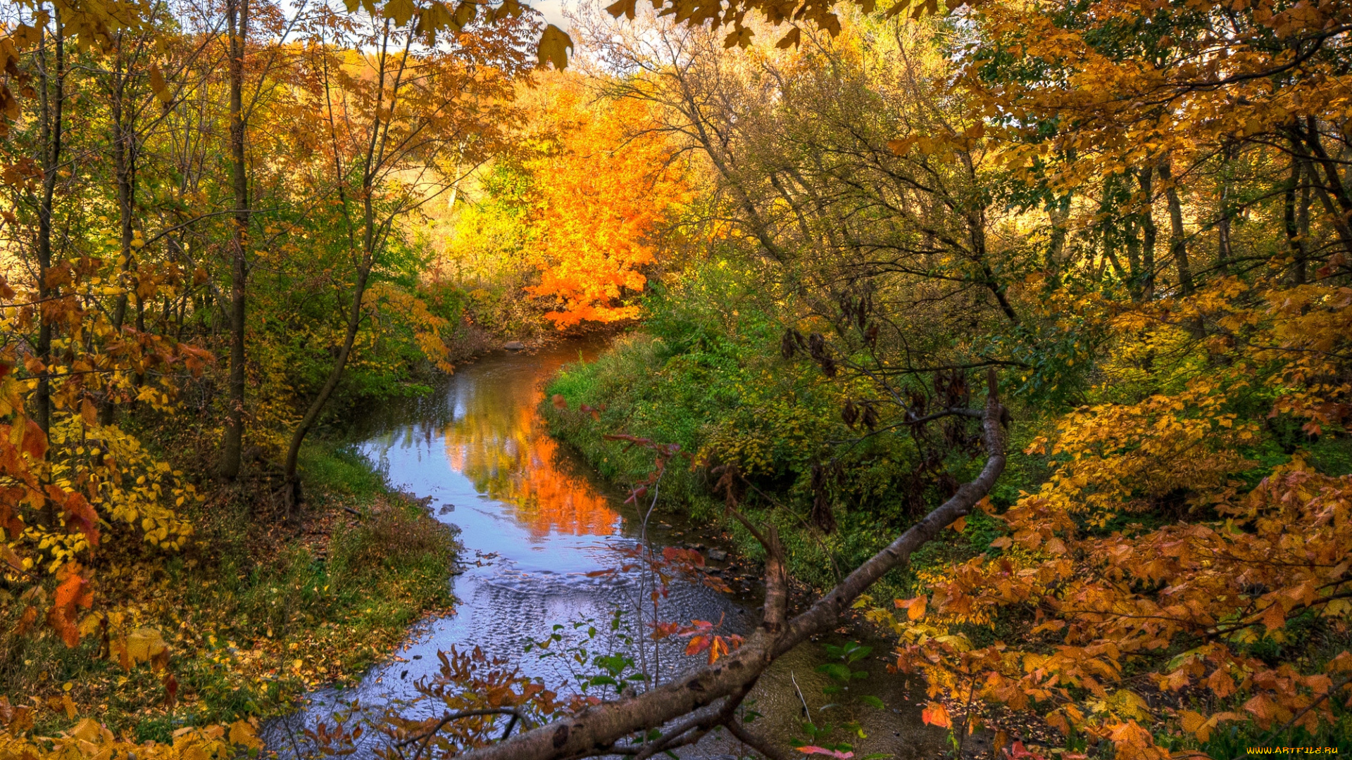 природа, реки, озера, осень, вода, деревья