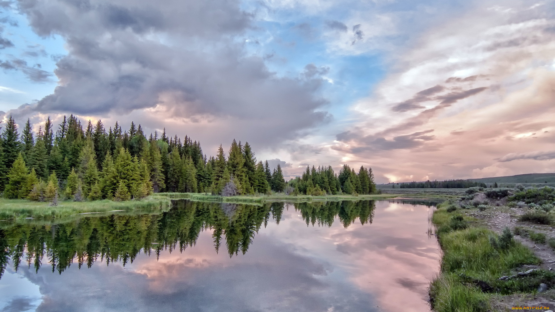 природа, реки, озера, река, лес, отражение