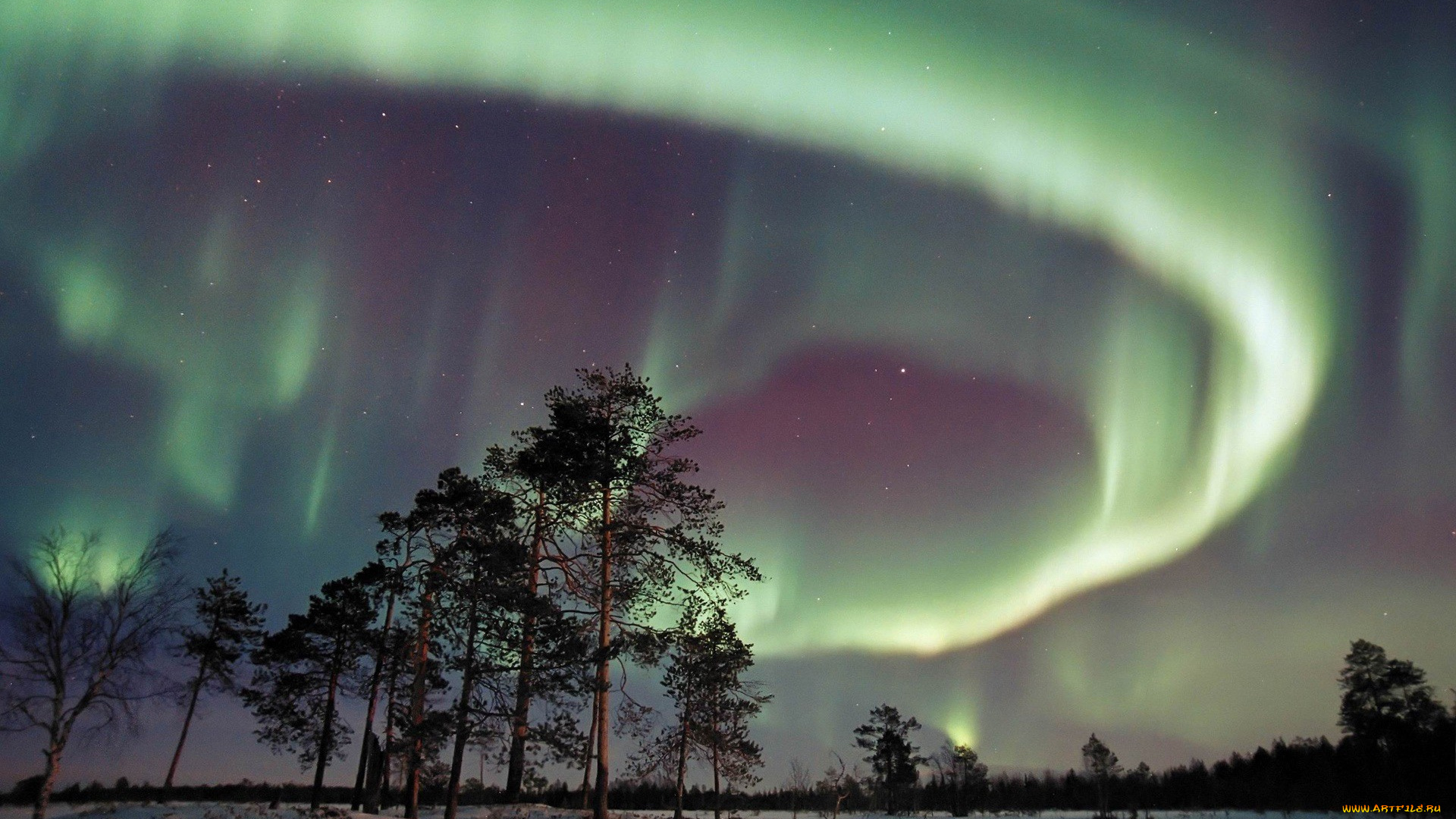 природа, северное, сияние, ночь, поле, снег, сосны