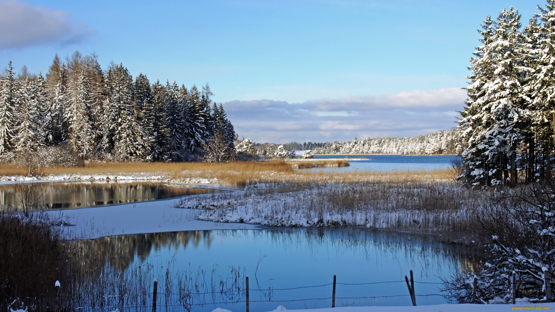 природа, зима, озеро