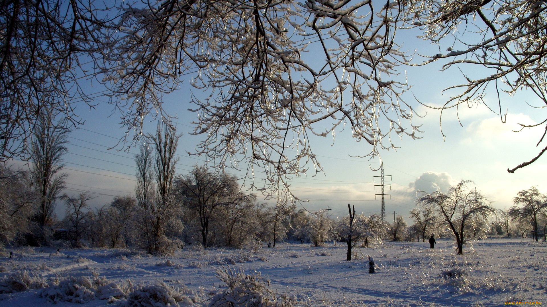 природа, зима, снег