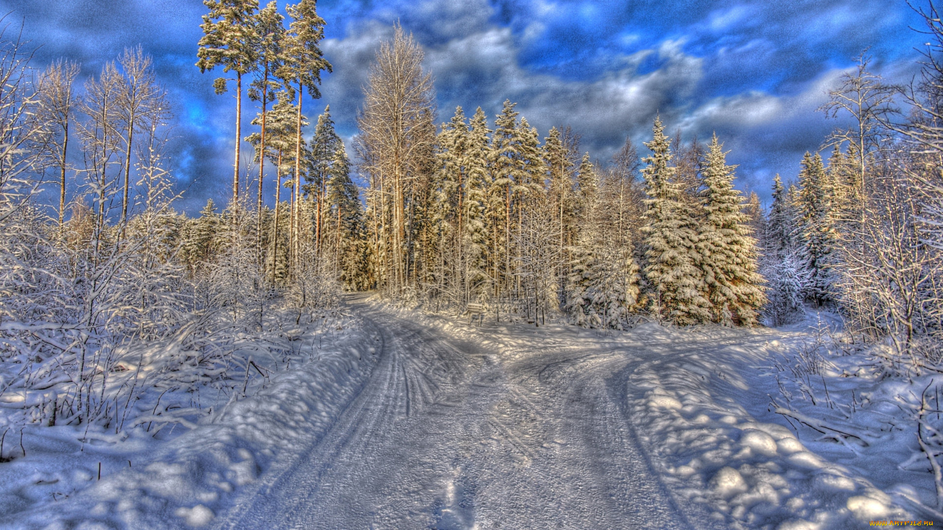 природа, зима, снег, деревья