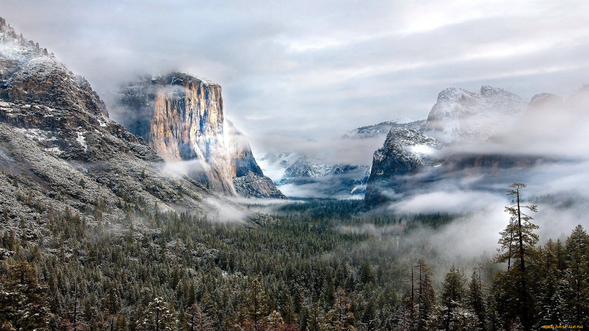 winter, snow, fog, природа, горы, леса, снег, туман, yosemite, national, park, usa, сша