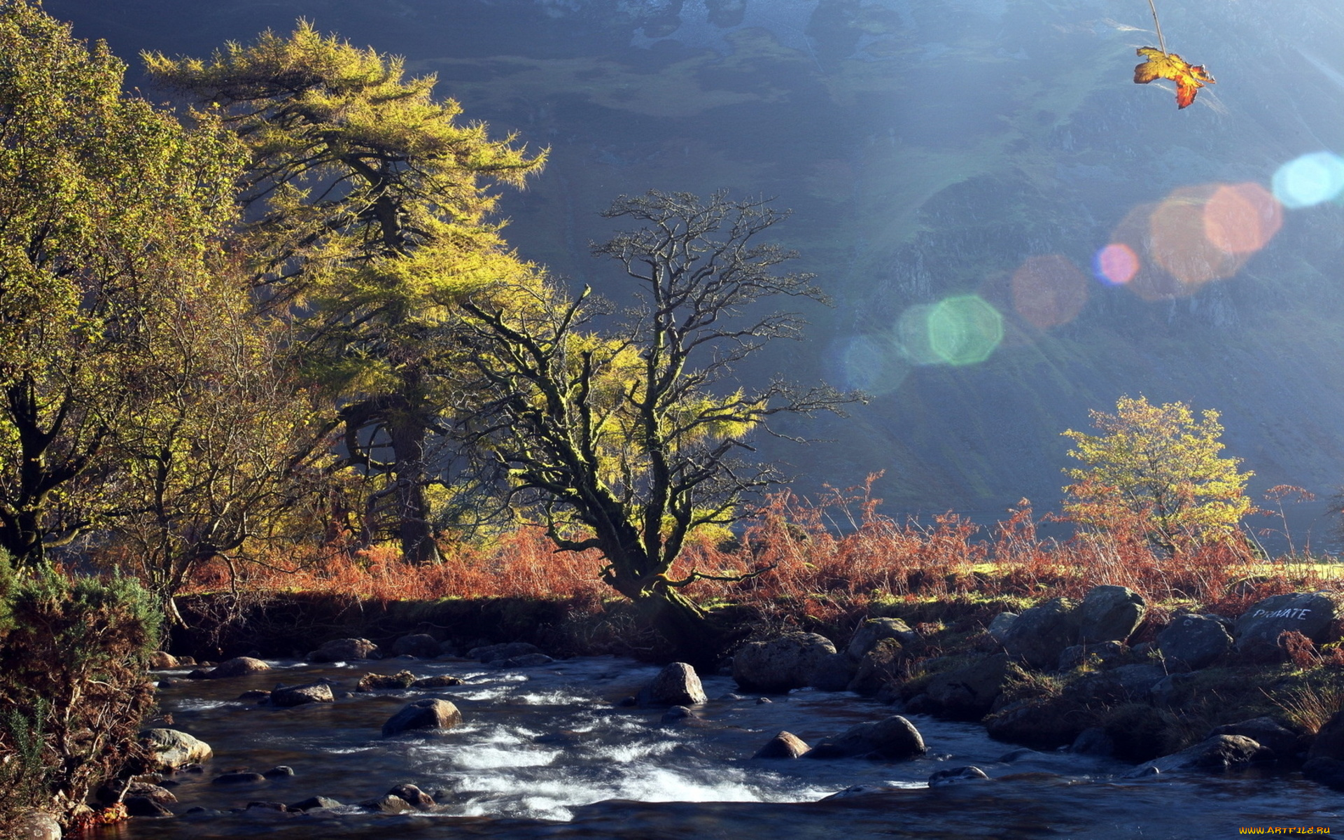 природа, реки, озера, горы, река, камни, деревья