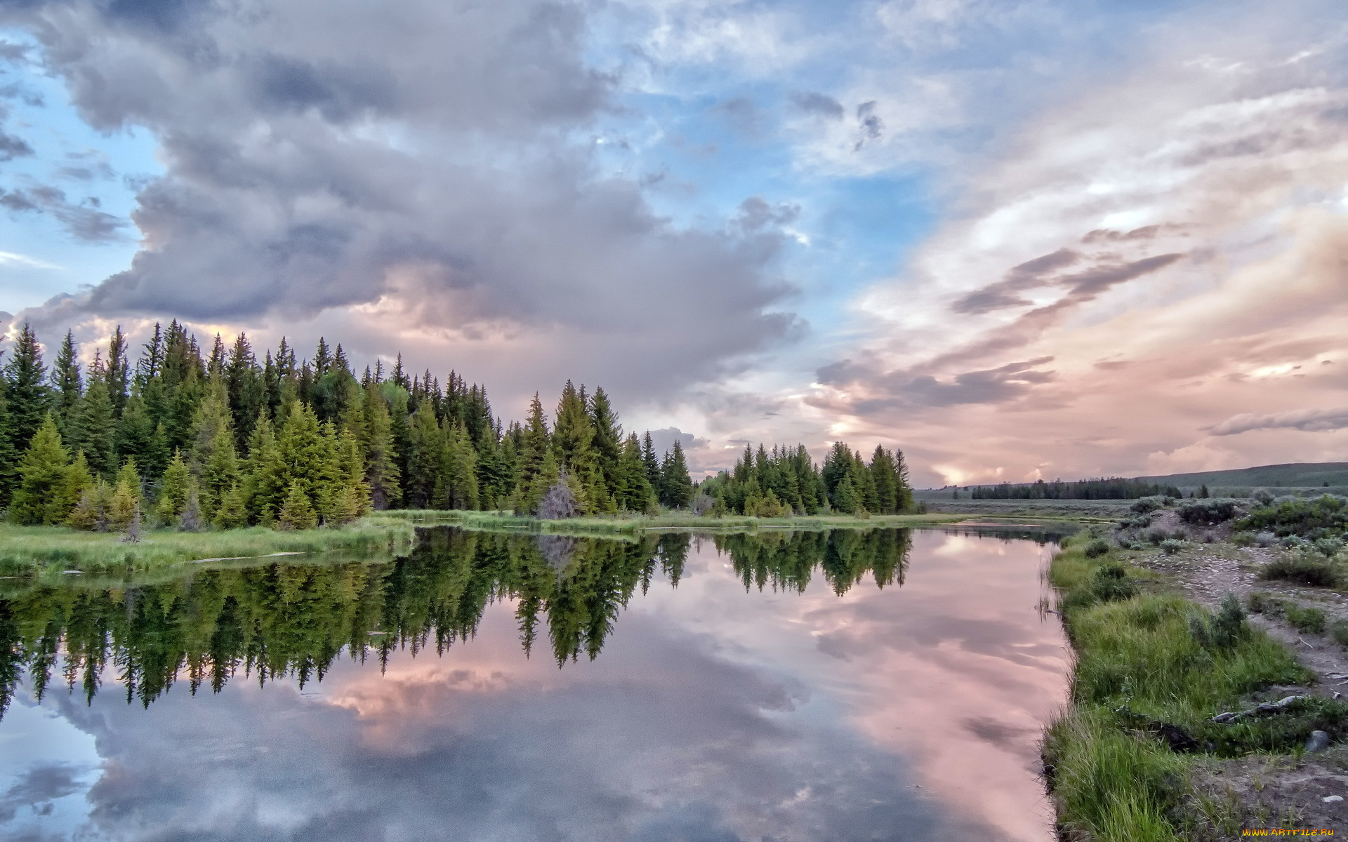 природа, реки, озера, река, лес, отражение