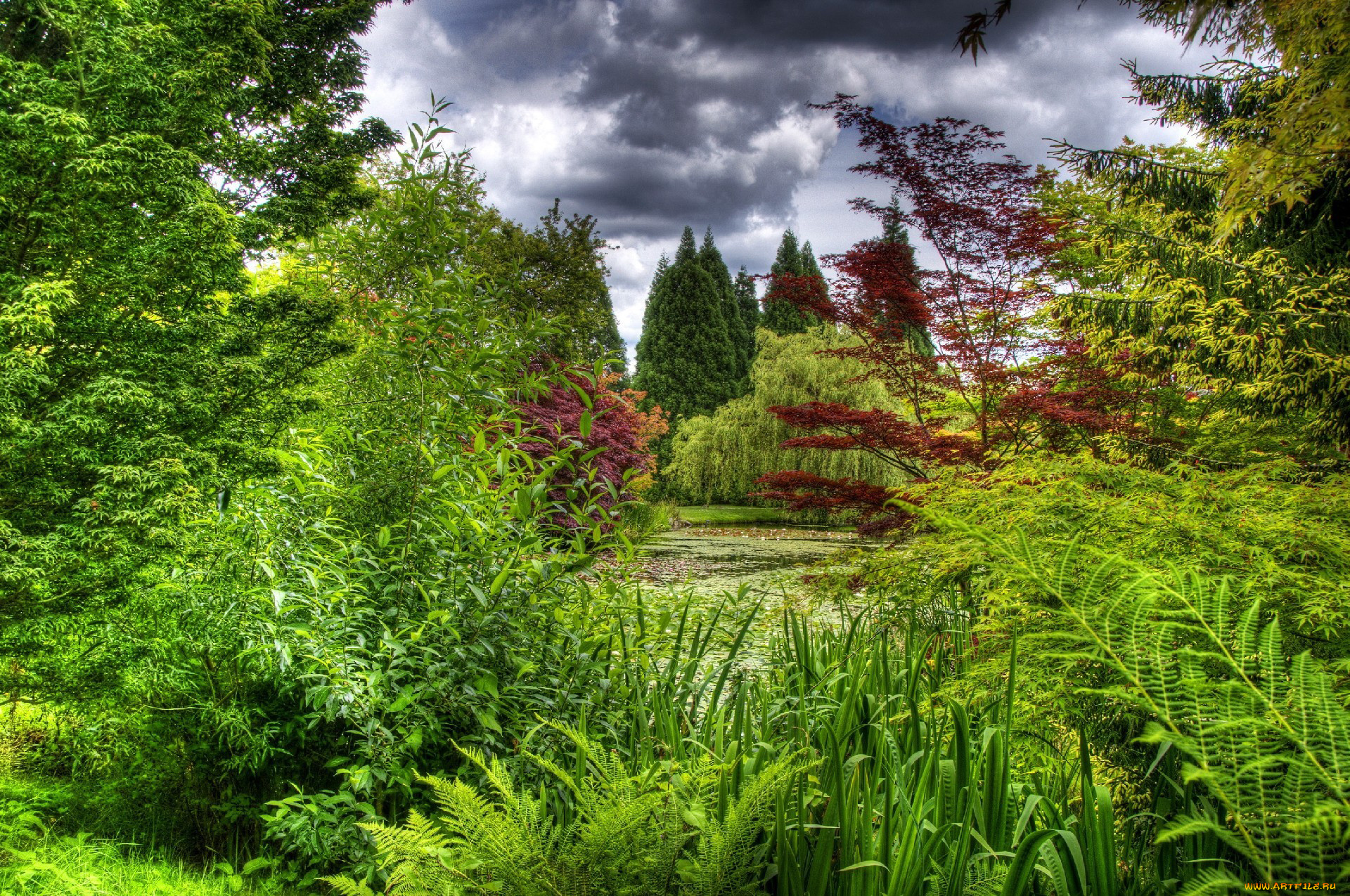 природа, парк, небо, тучи, заросли, пруд