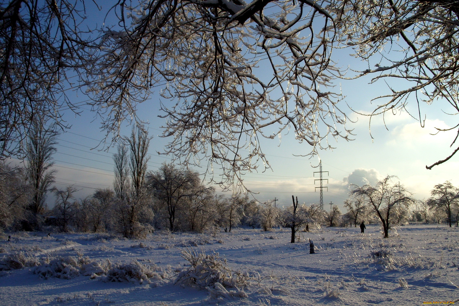 природа, зима, снег