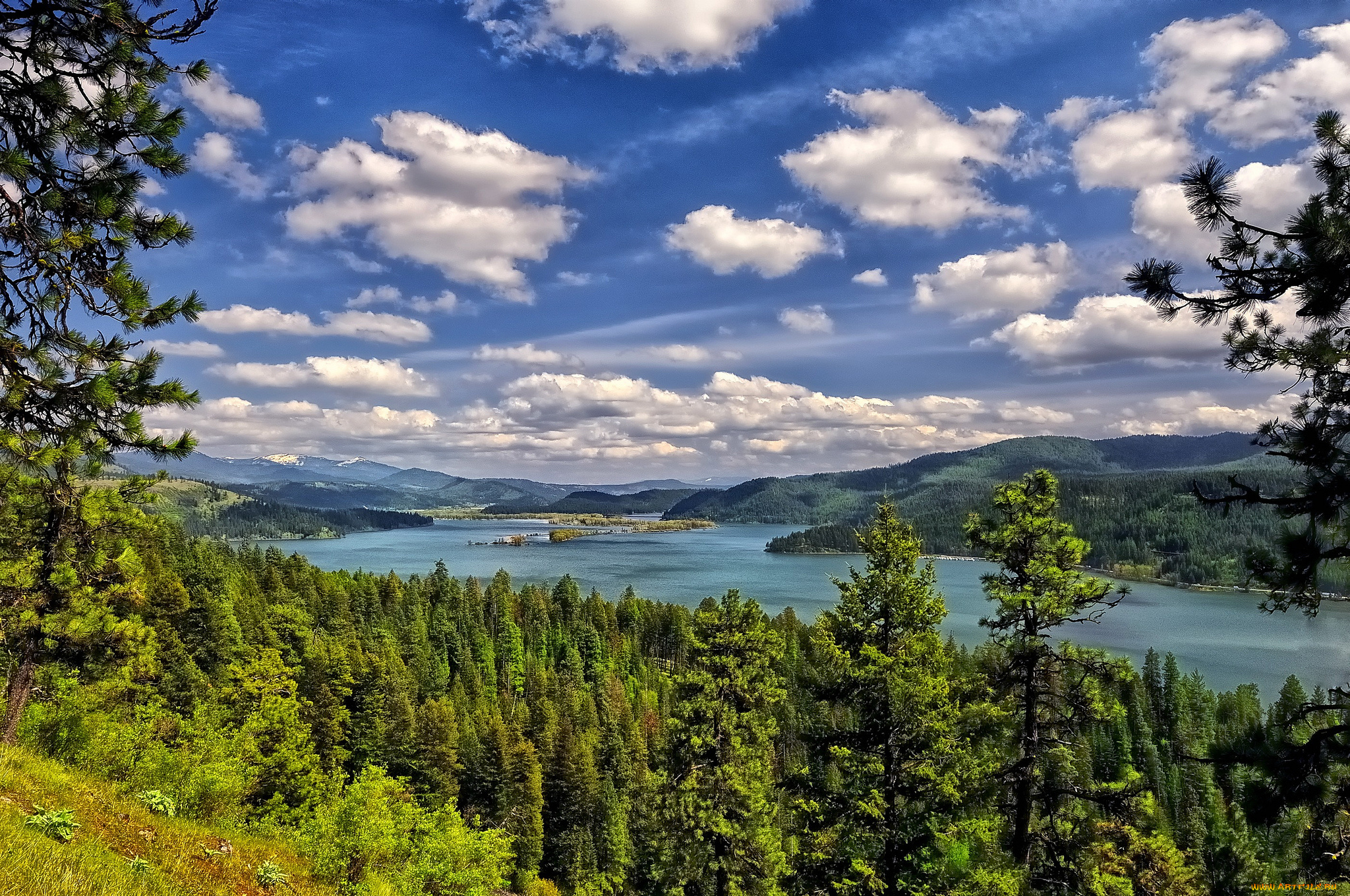 lake, coeur, d`alene, природа, реки, озера, озеро, лес, деревья, облака, пейзаж