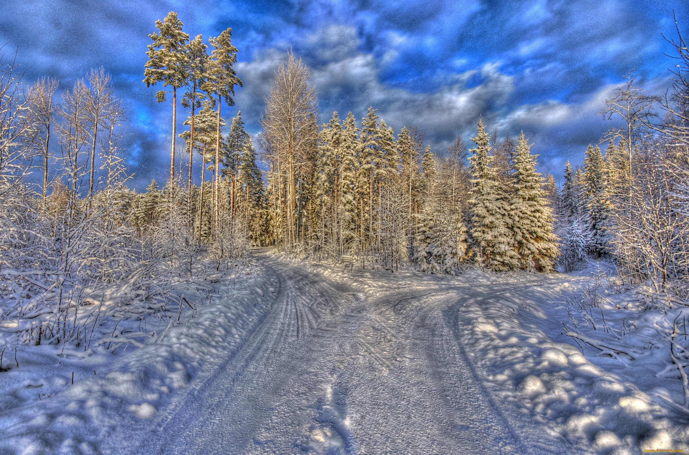 природа, зима, снег, деревья