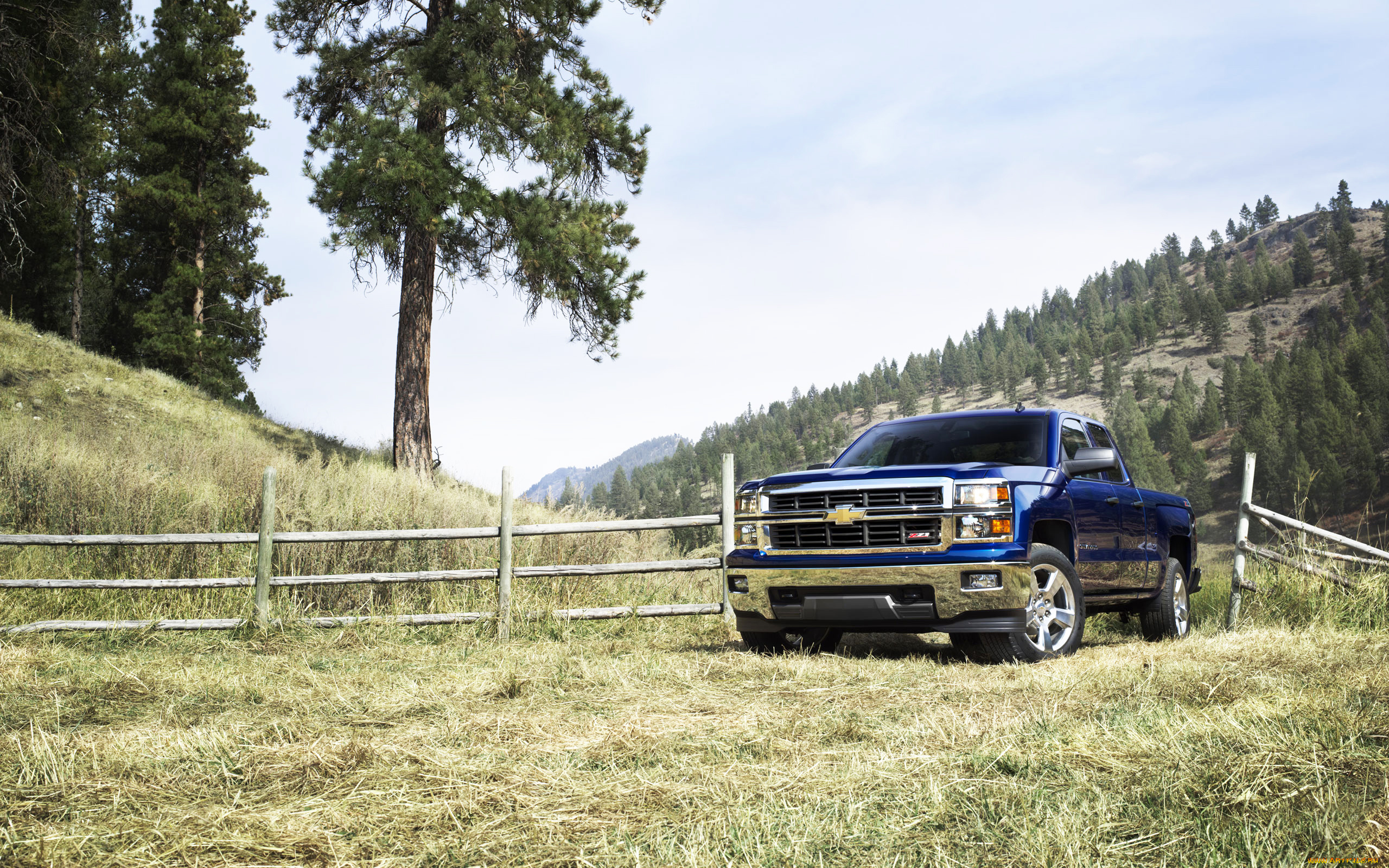 автомобили, chevrolet, луг, синий