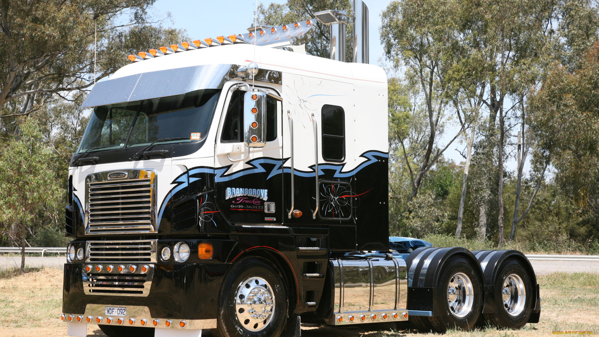 автомобили, freightliner