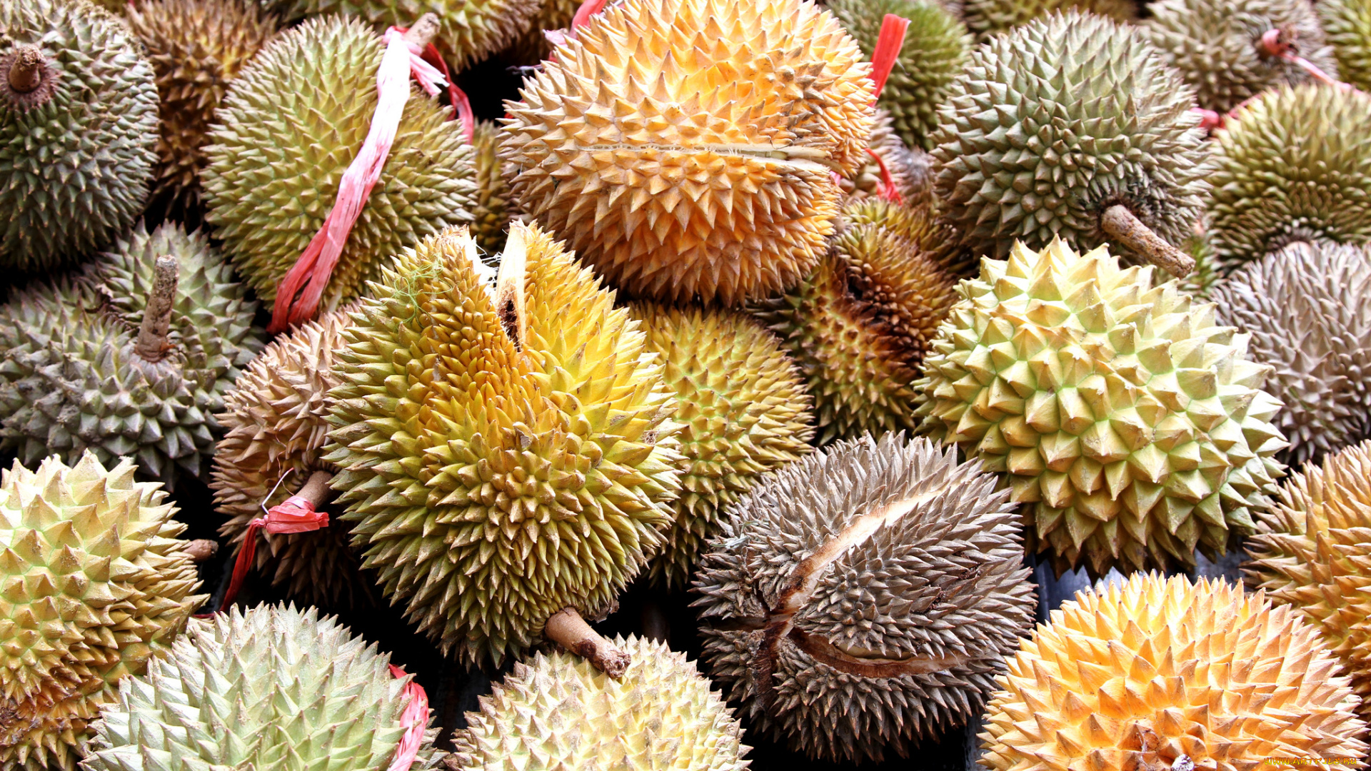 durian, fruit, еда, дуриан, дурианы