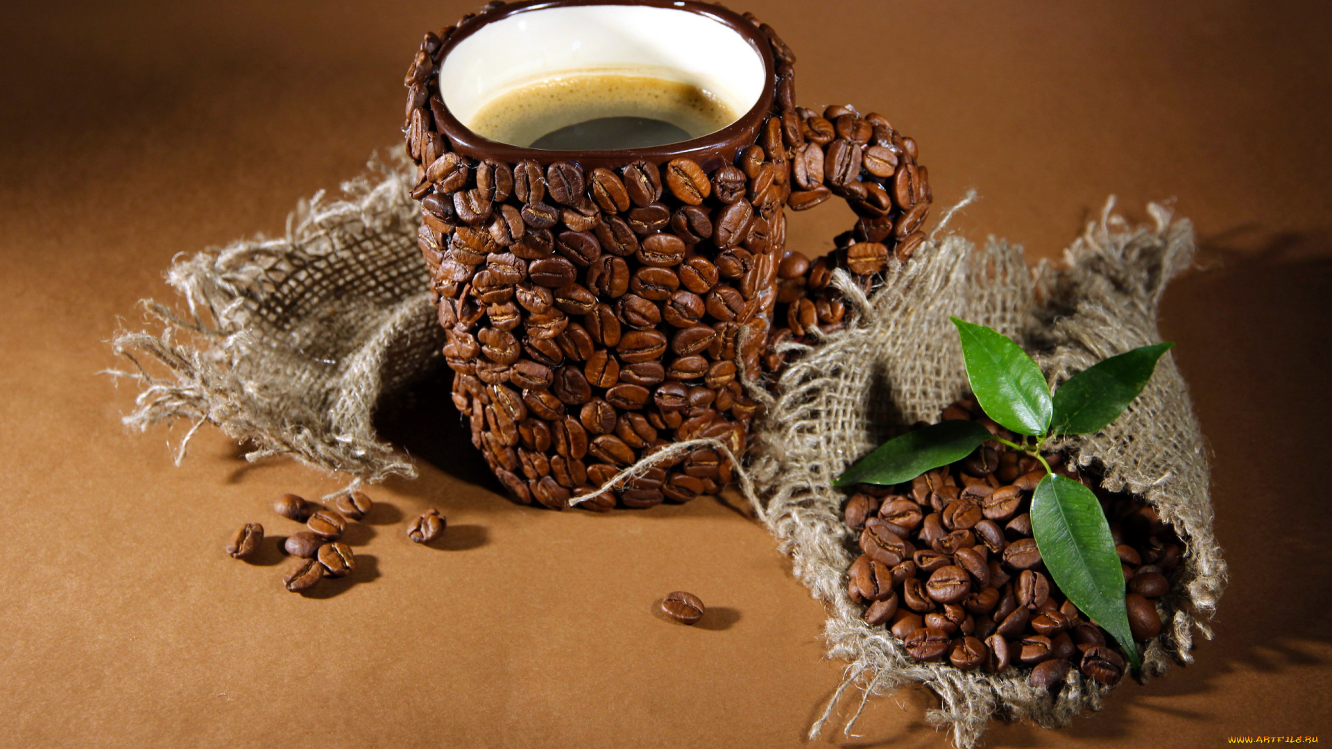 еда, кофе, , кофейные, зёрна, листья, зерна