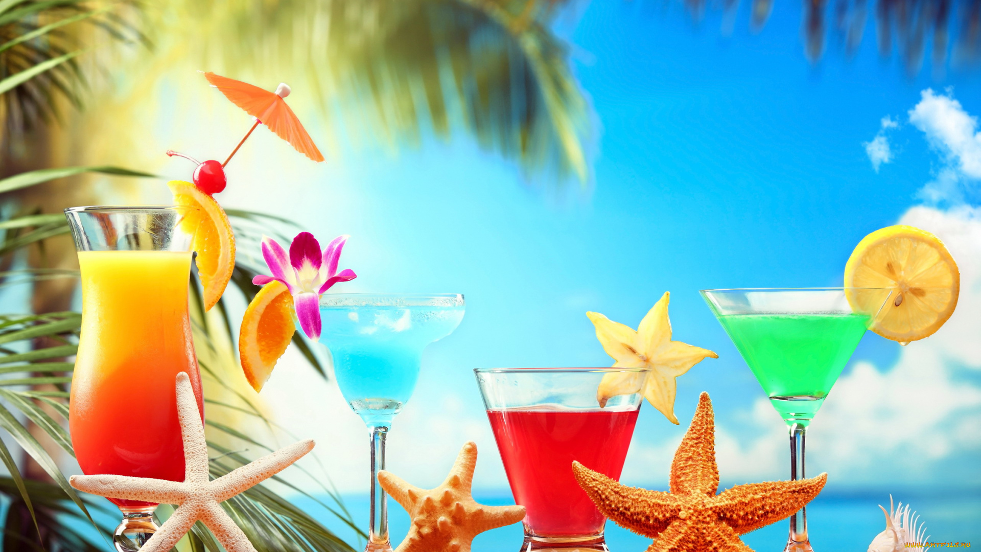 еда, напитки, , коктейль, бокалы, карамбола, ракушка, зонтик