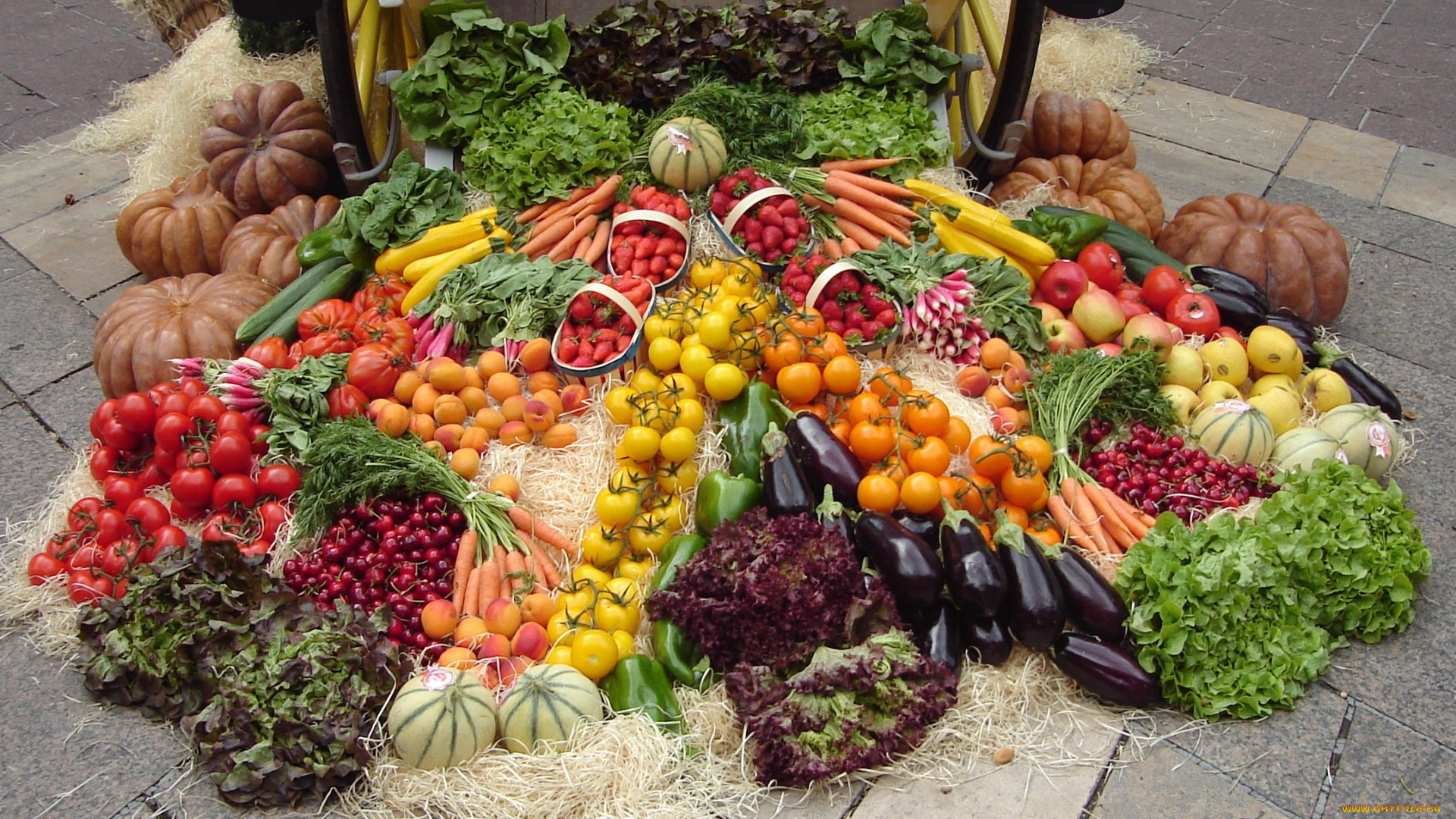 еда, овощи, развал, урожай, телега