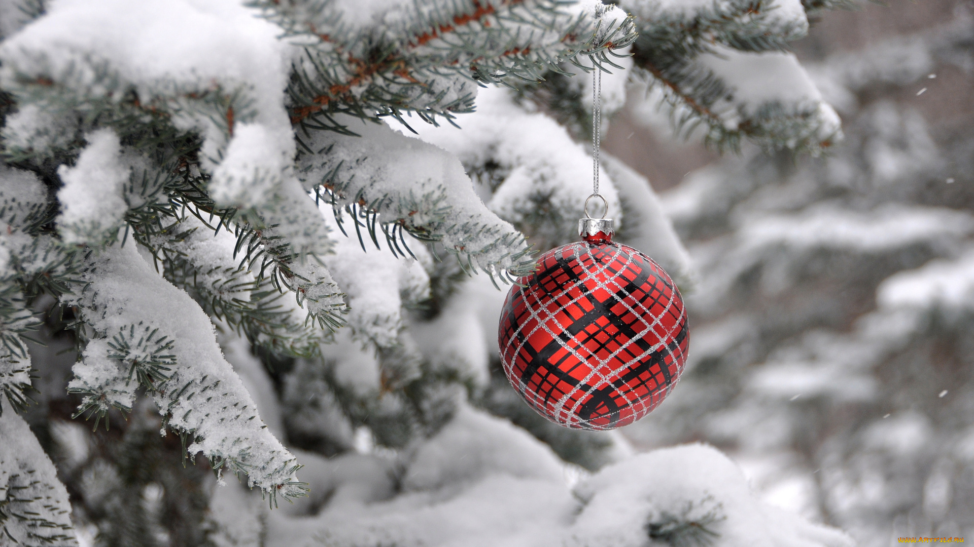 праздничные, шарики, инрушка, шарик, ветка, снег, зима