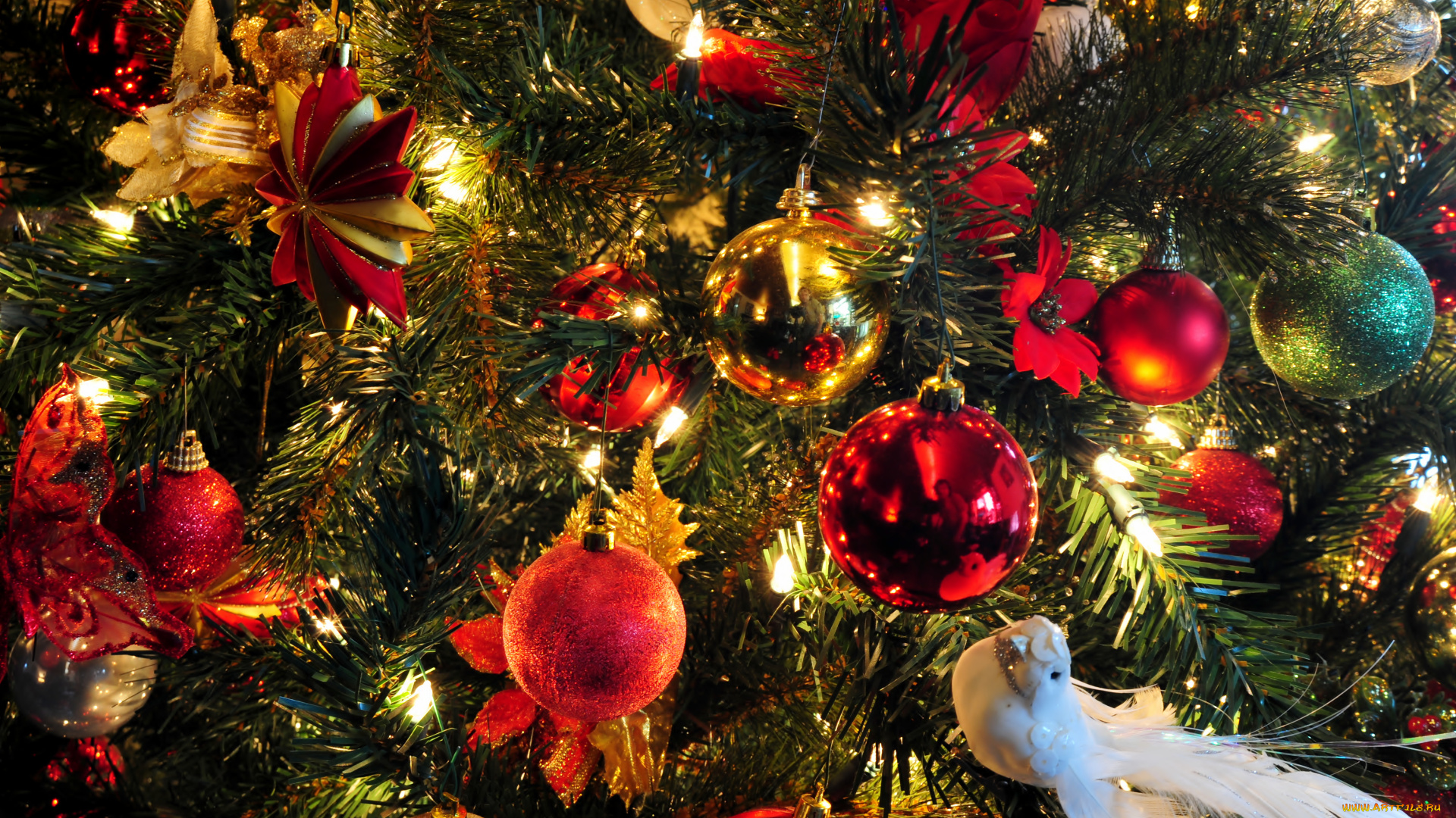 праздничные, Ёлки, птица, гирлянда, шарики, украшения, ёлка