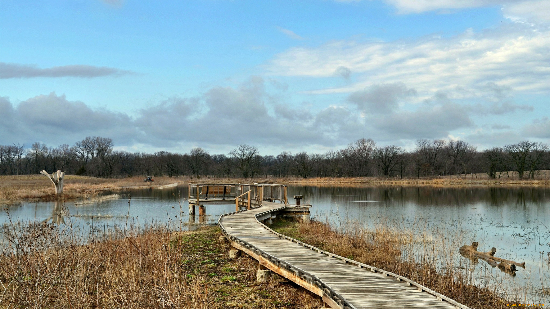 природа, реки, озера, река, заводь, трава, мостки