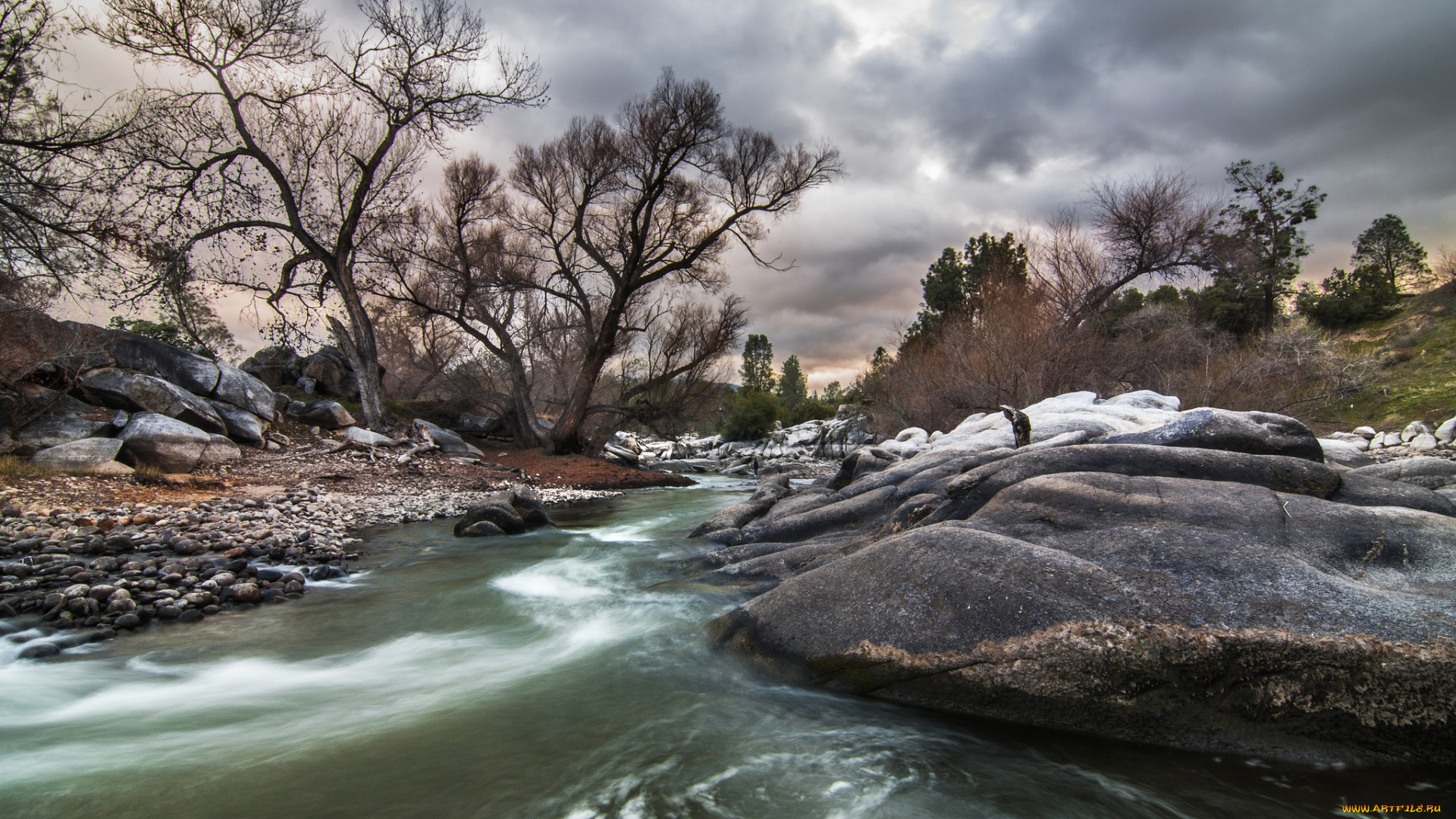 природа, реки, озера, течение, камни, деревья, река