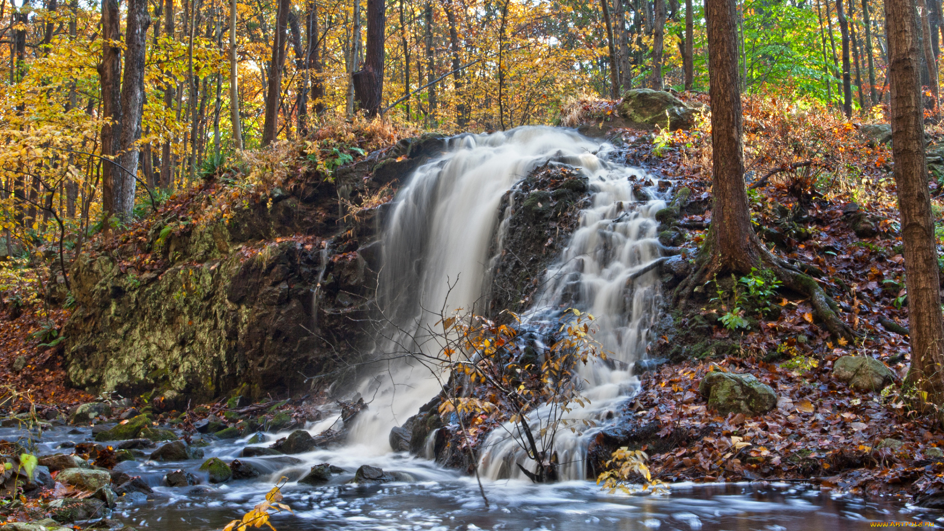 природа, водопады, лес, река, водопад