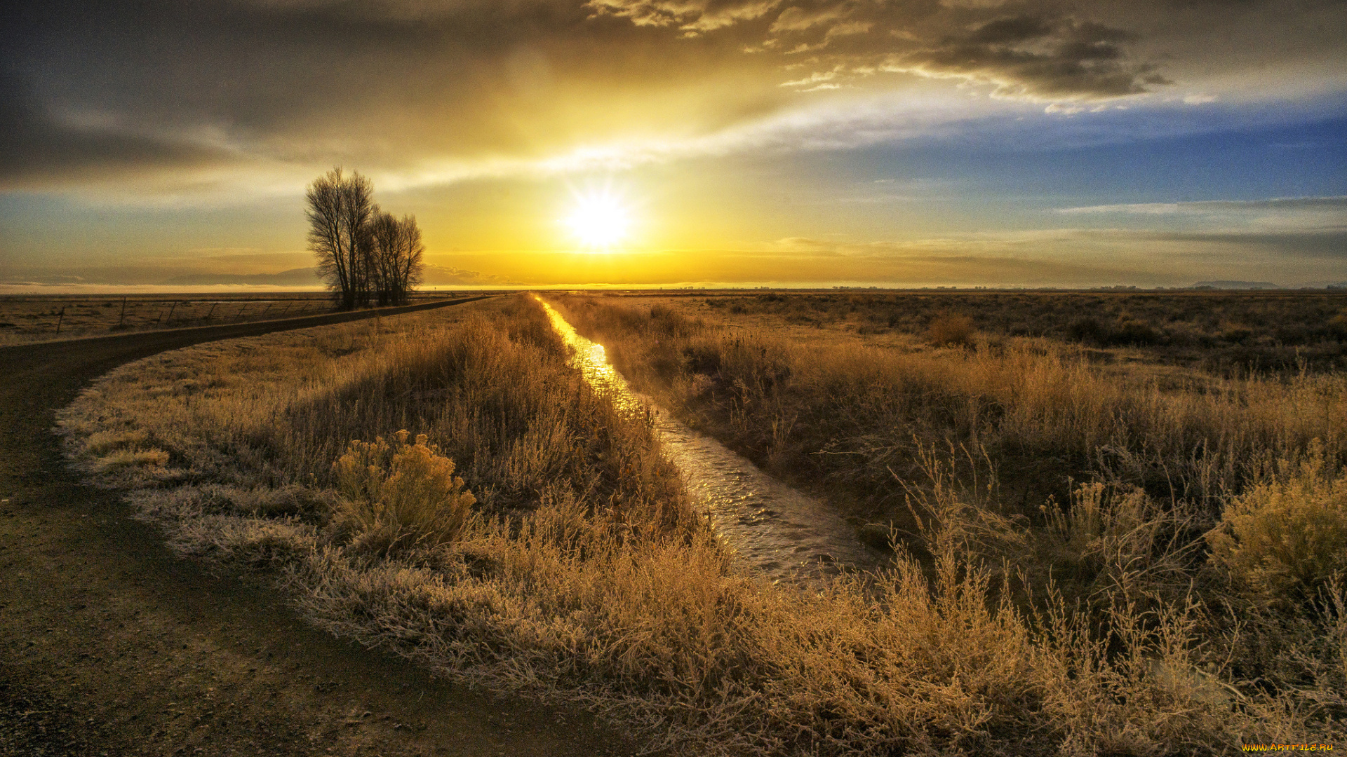 природа, восходы, закаты, поле, трава, дорога, солнце, свет