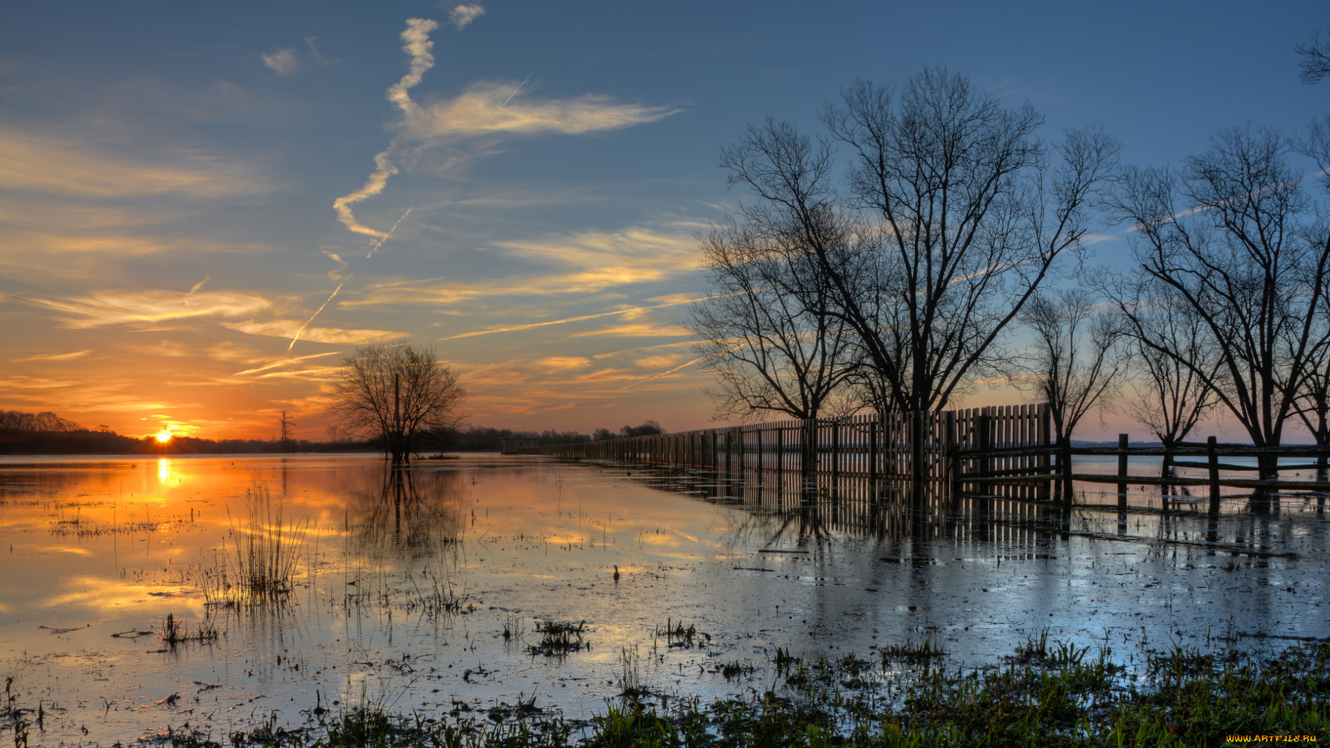 природа, восходы, закаты, река, разлив, дерево, забор, солнце