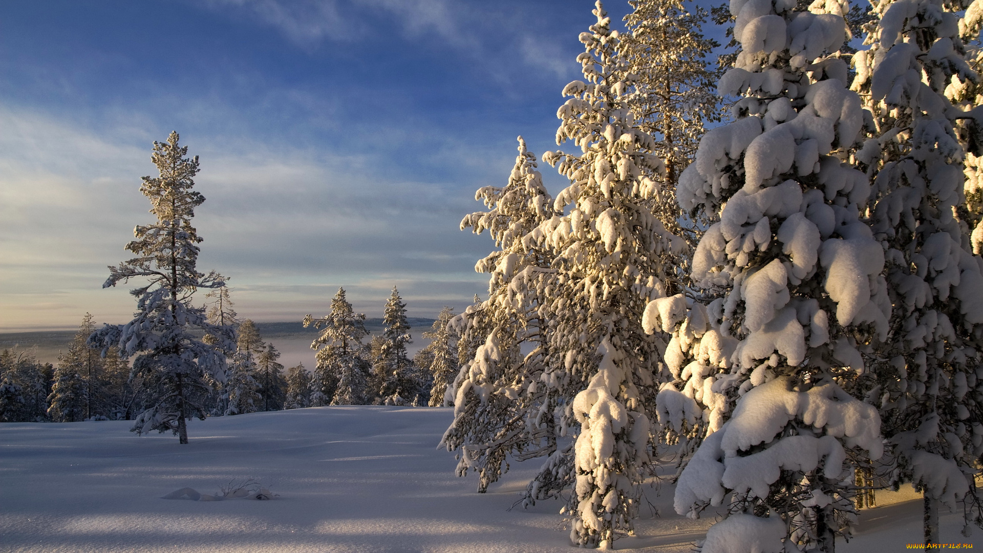 природа, зима, finland, lapland, снег, лес