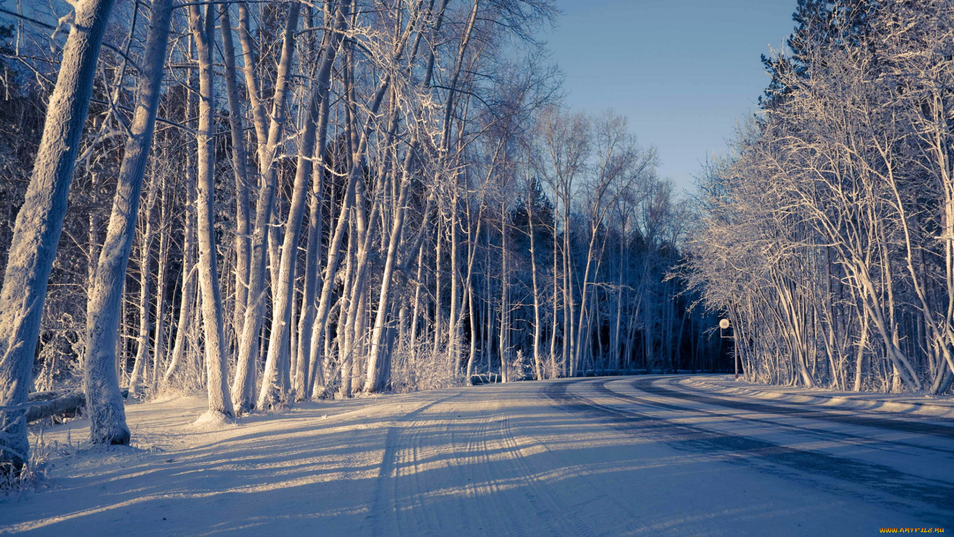 природа, зима, снег