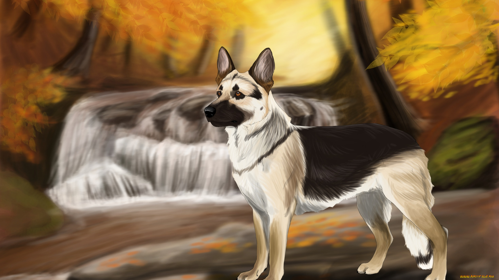 рисованные, животные, , собаки, собака