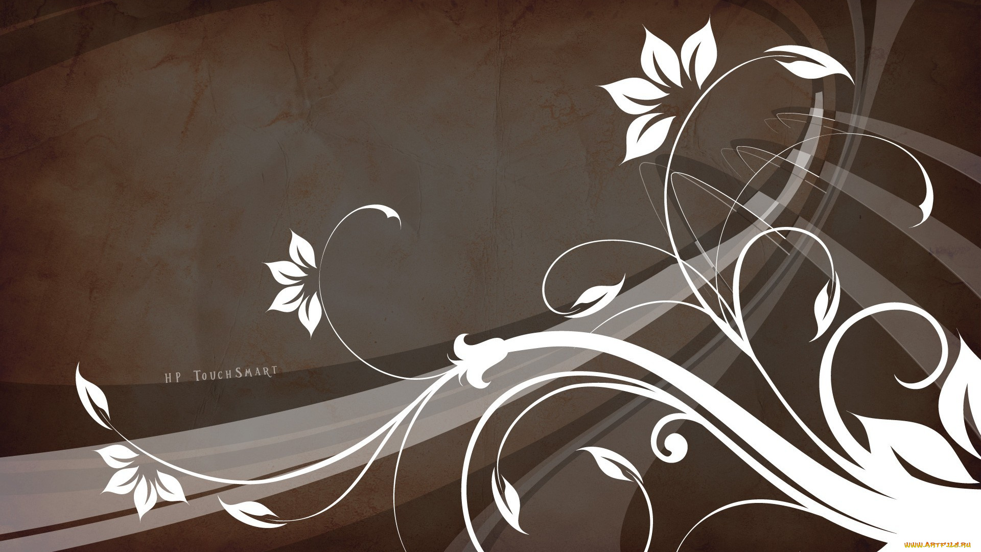 векторная, графика, орнамент, фон, цветы