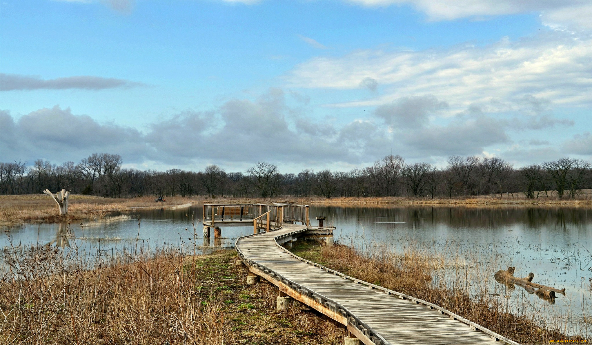 природа, реки, озера, река, заводь, трава, мостки