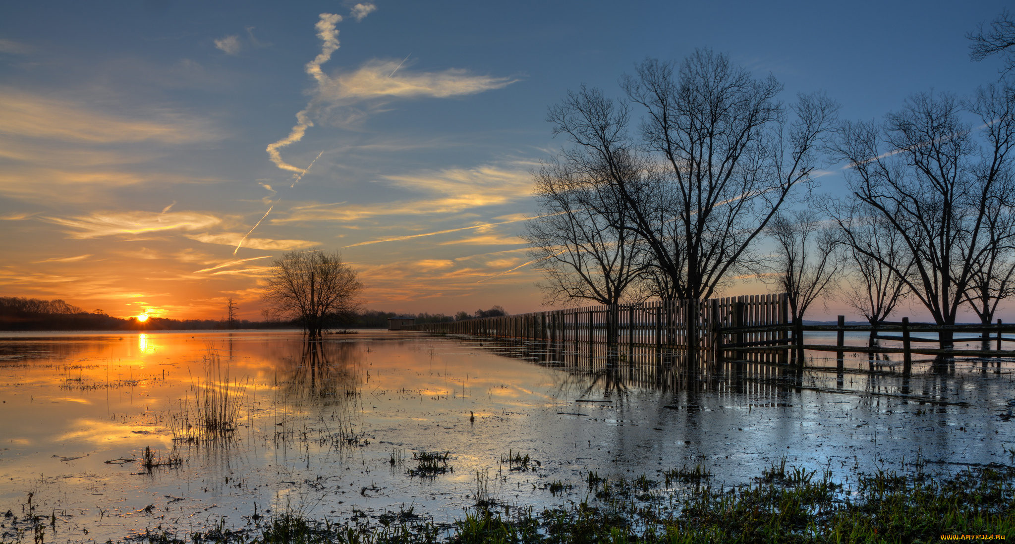 природа, восходы, закаты, река, разлив, дерево, забор, солнце