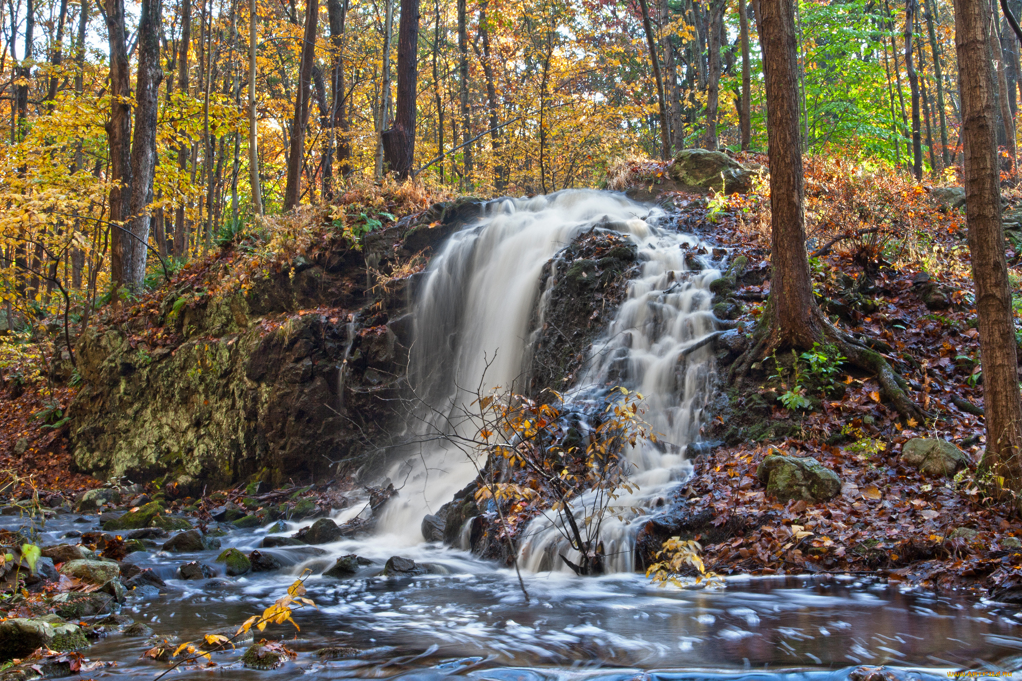 природа, водопады, лес, река, водопад