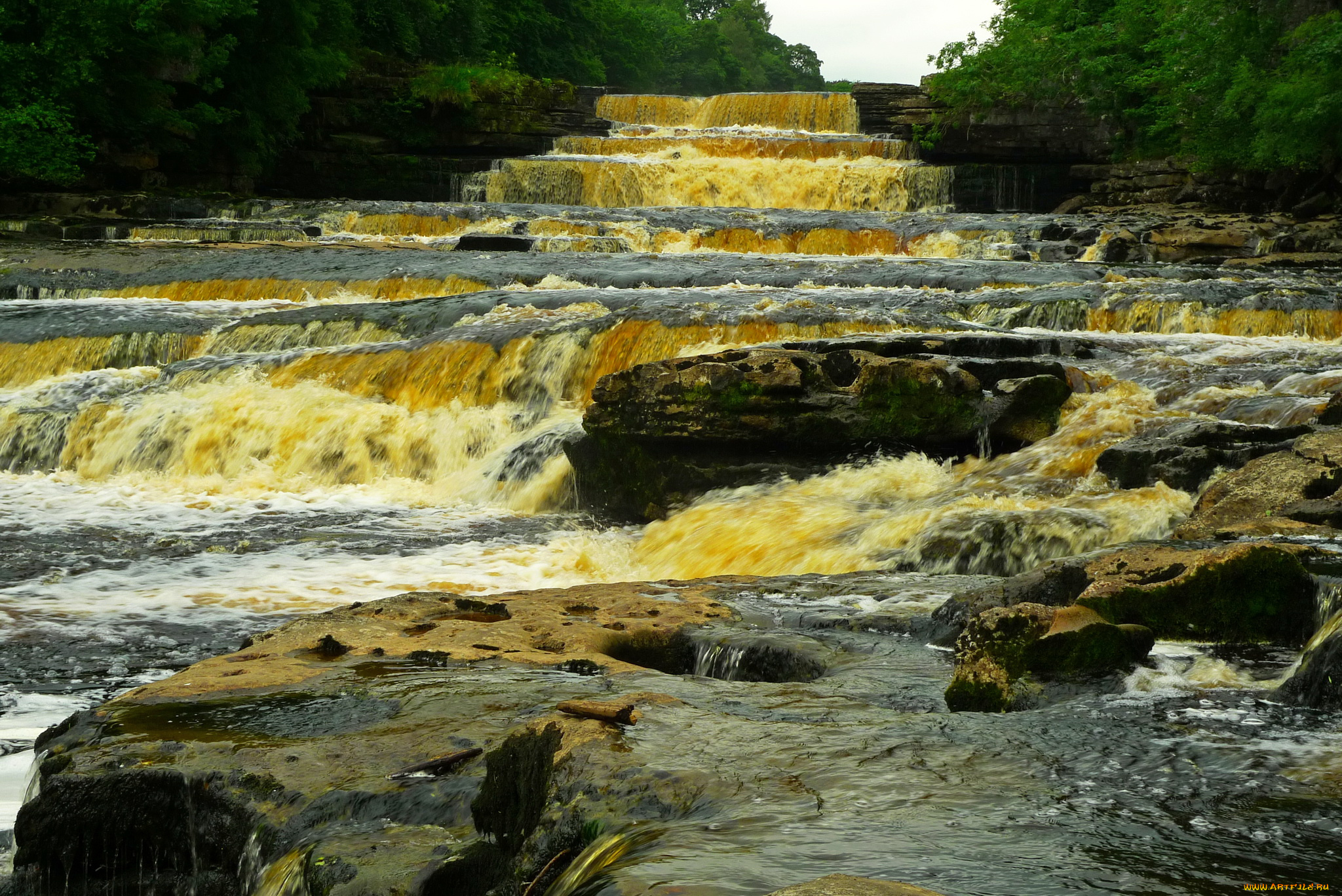 aysgarth, falls, природа, водопады, aysgarth, falls, united, kingdom, yorkshire, водопад