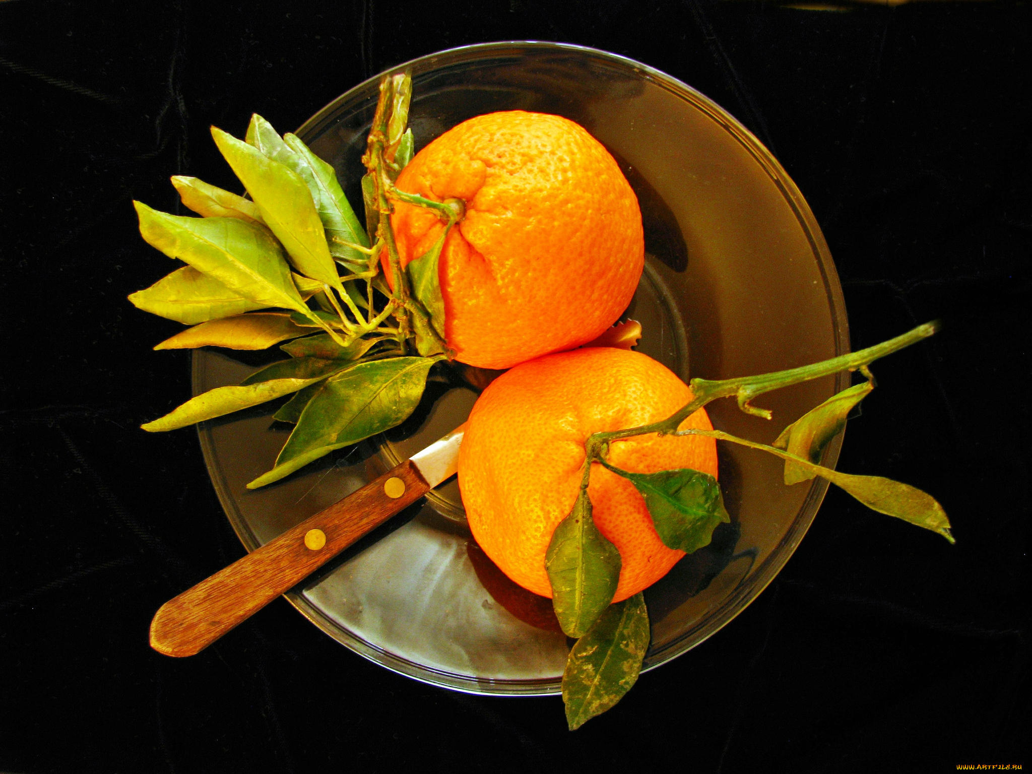 еда, цитрусы, апельсины, чаша, нож