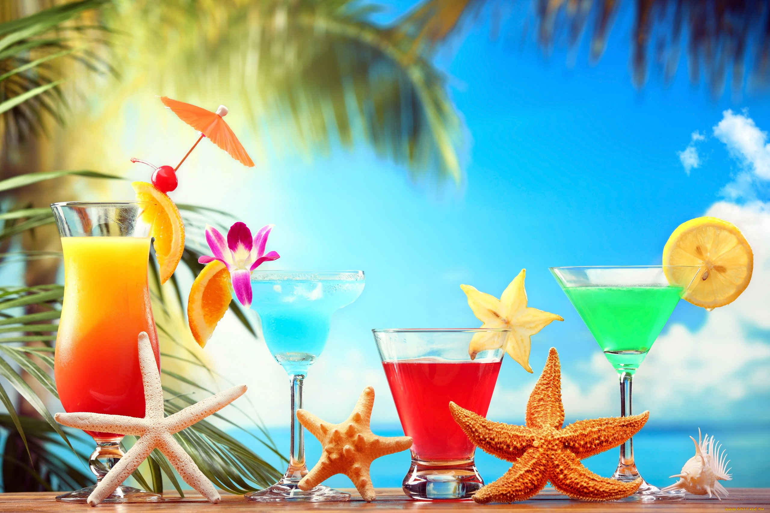 еда, напитки, , коктейль, бокалы, карамбола, ракушка, зонтик