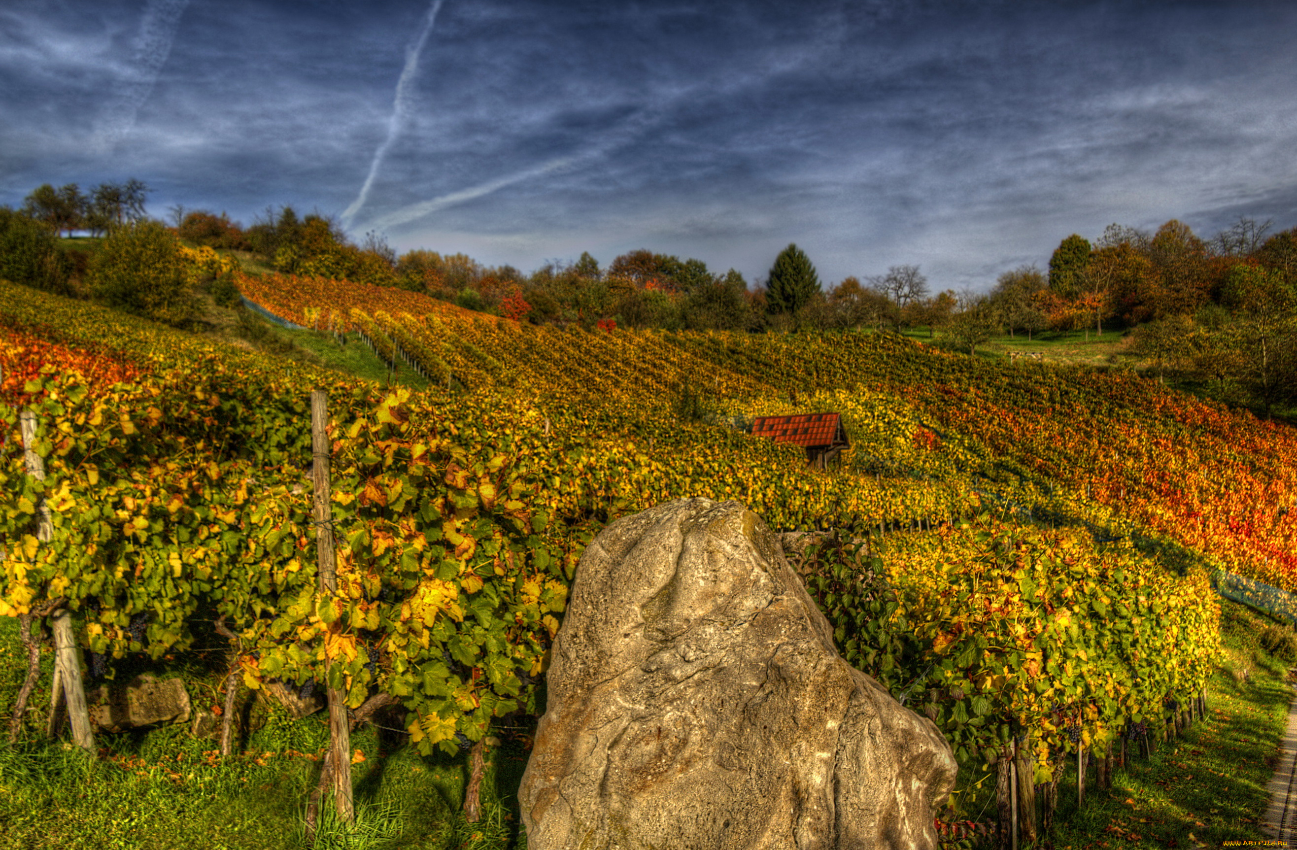 ремсхальден, , германия, природа, поля, виноградники, германия