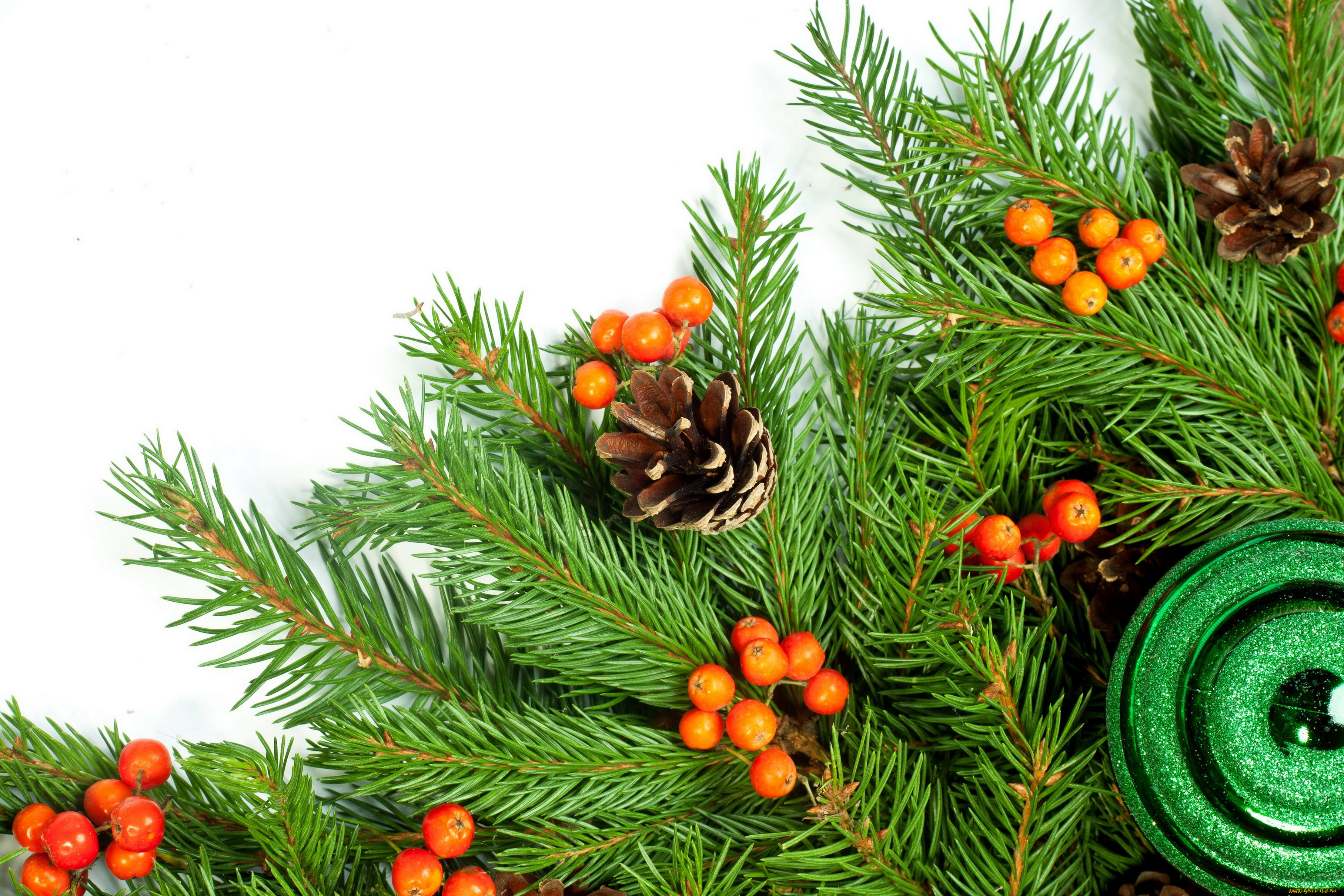 праздничные, Ёлки, шишки, ветка, ель