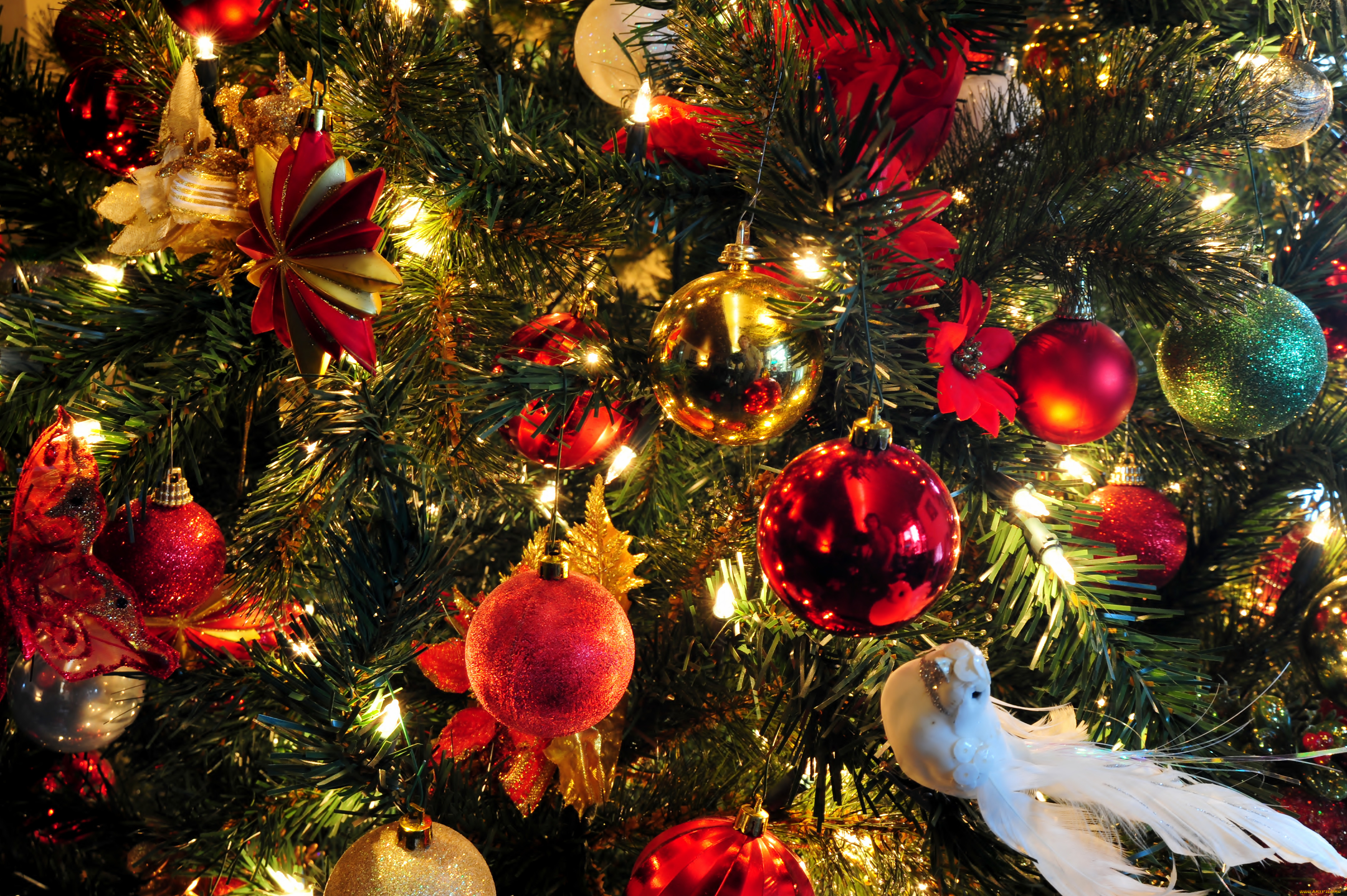 праздничные, Ёлки, птица, гирлянда, шарики, украшения, ёлка