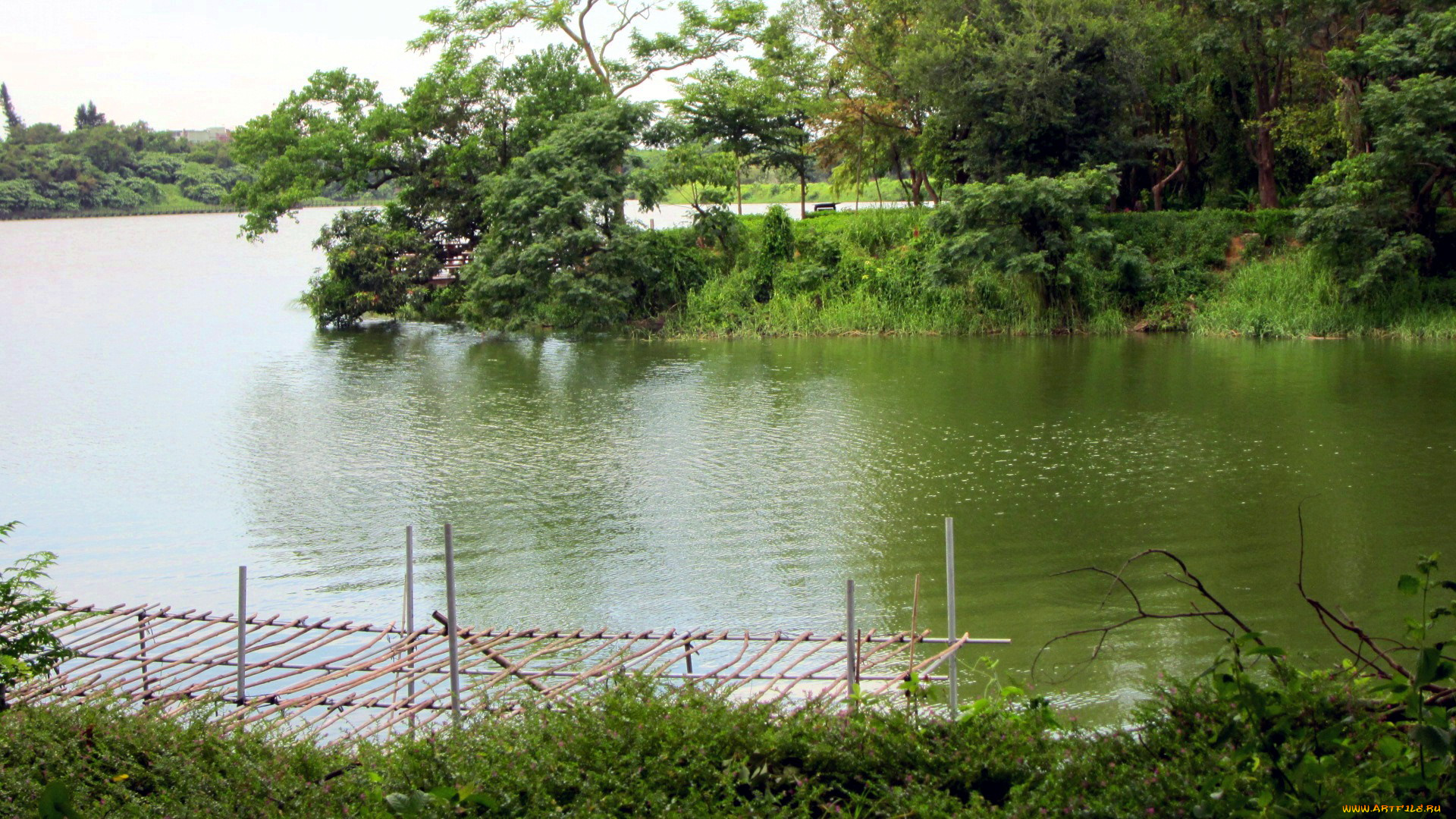 природа, реки, озера, кусты