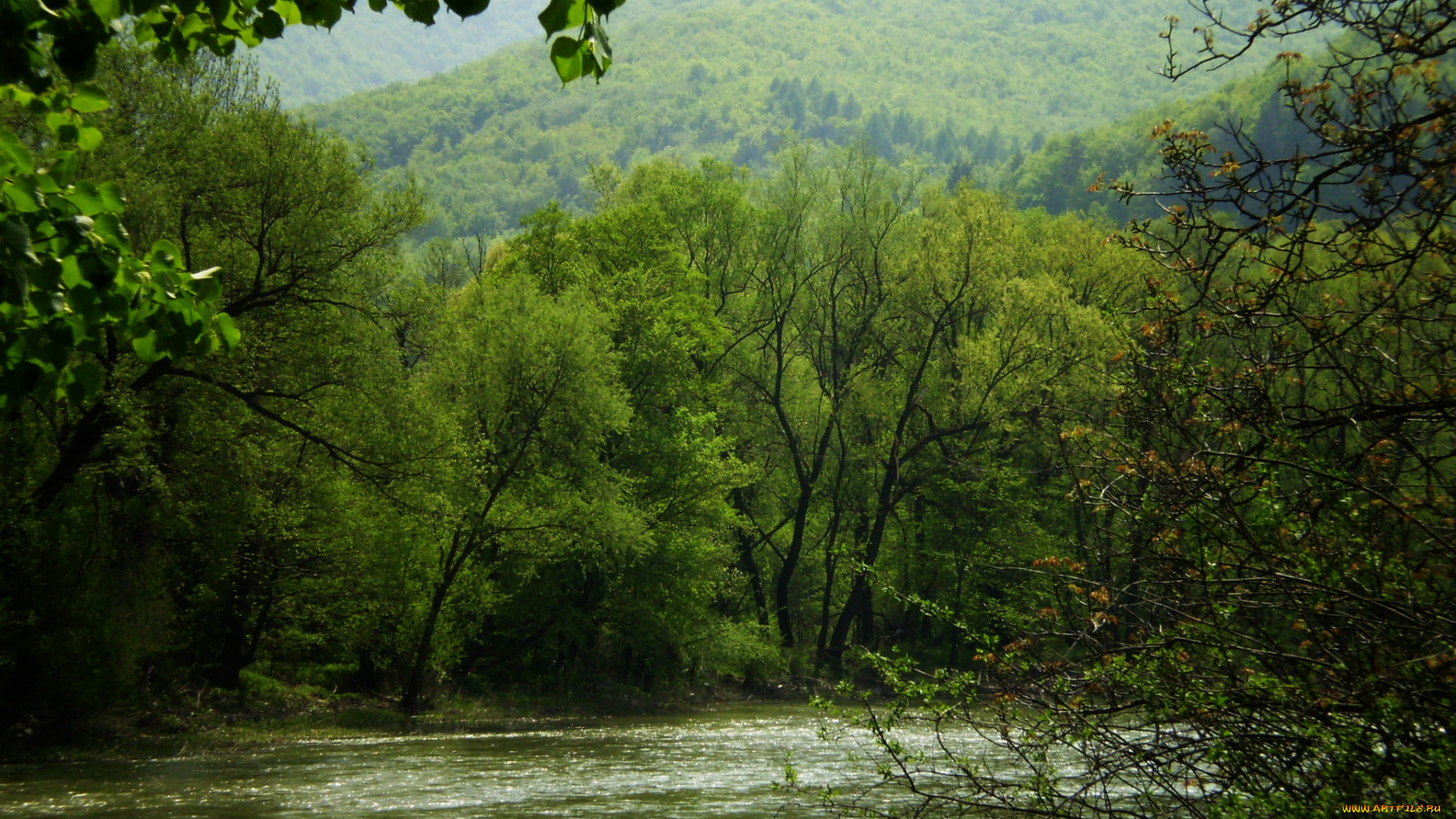 природа, реки, озера, вода, горы, деревья