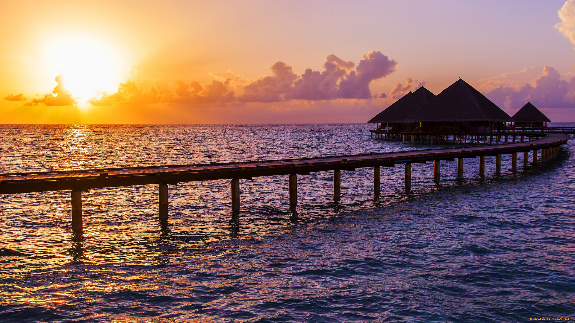 природа, тропики, рассвет