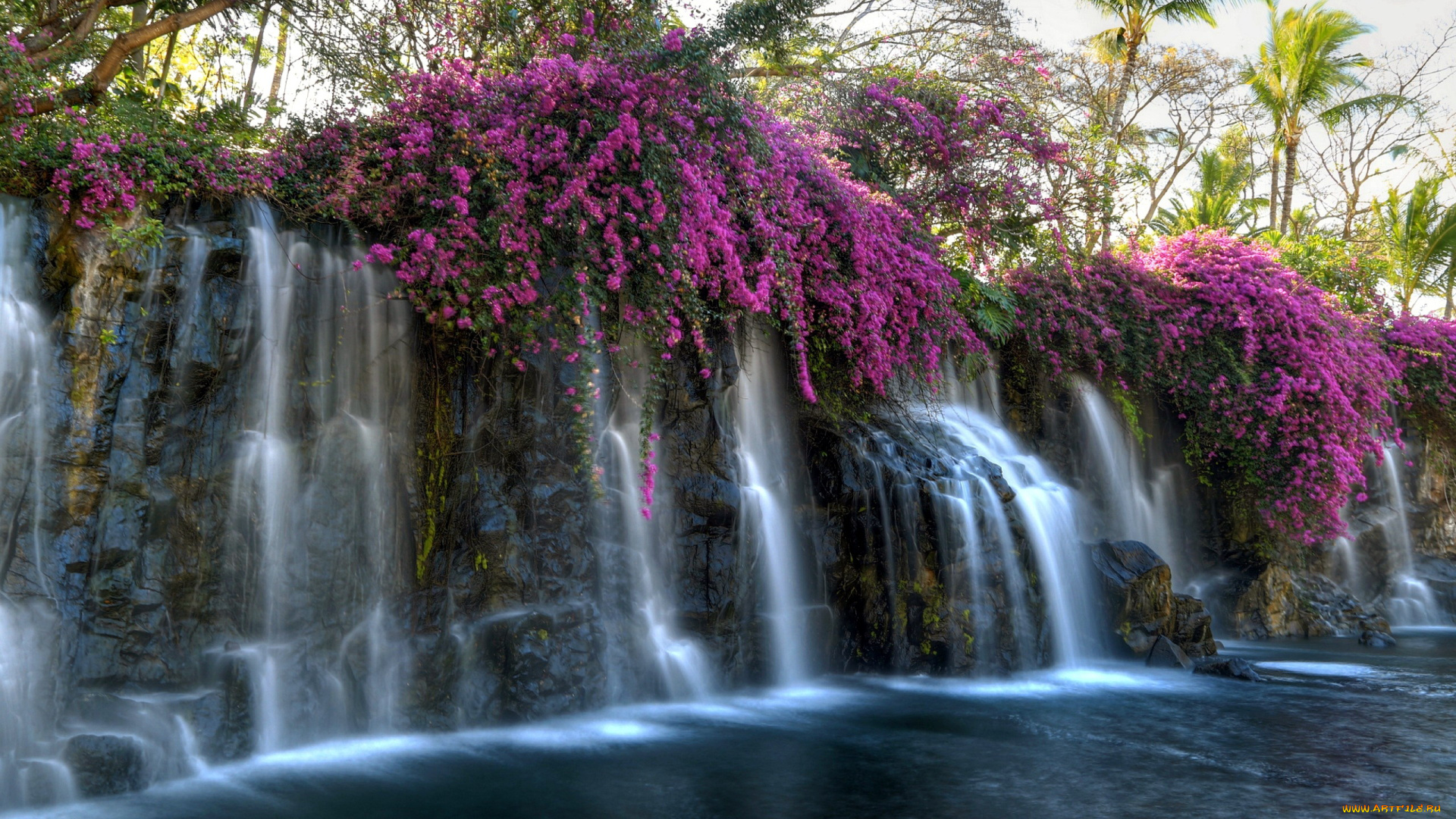 природа, водопады, пальмы, вода