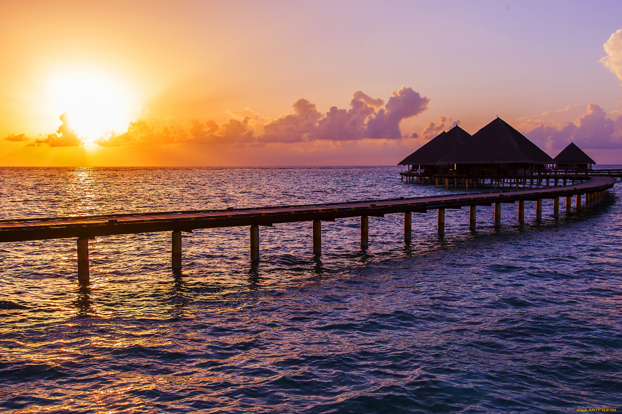 природа, тропики, рассвет