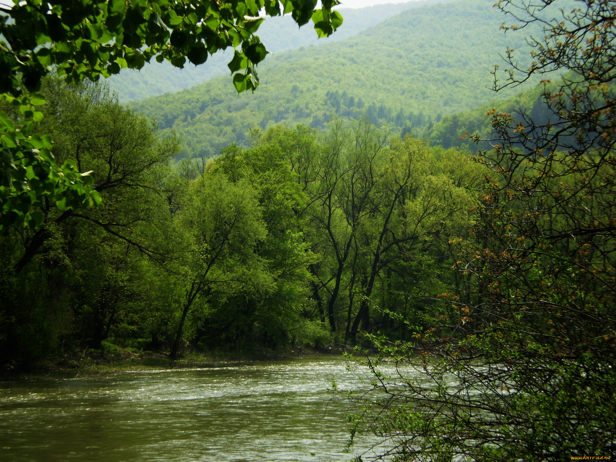 природа, реки, озера, вода, горы, деревья