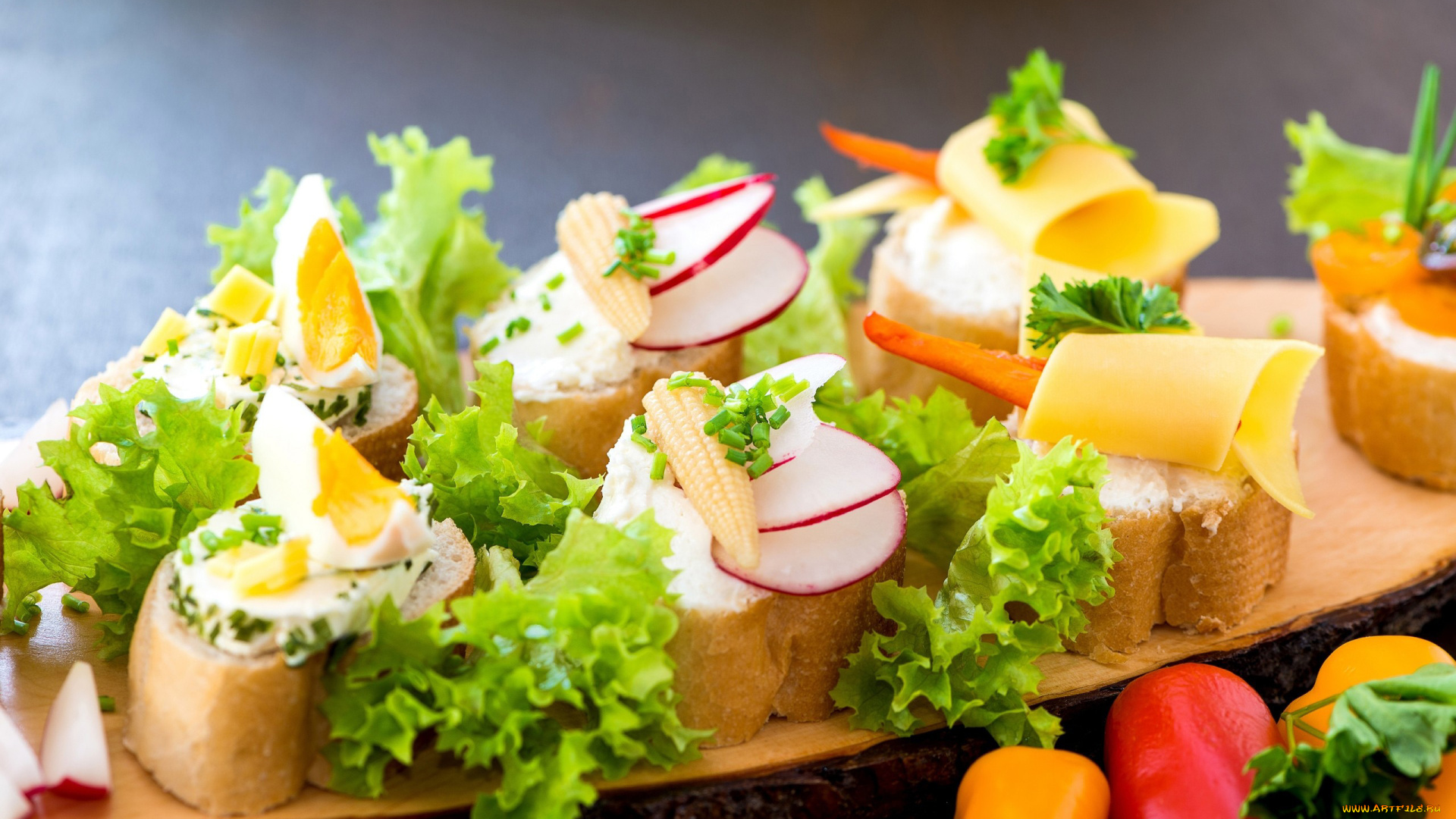 еда, бутерброды, , гамбургеры, , канапе, редис, сыр, кукуруза, багет, яйцо
